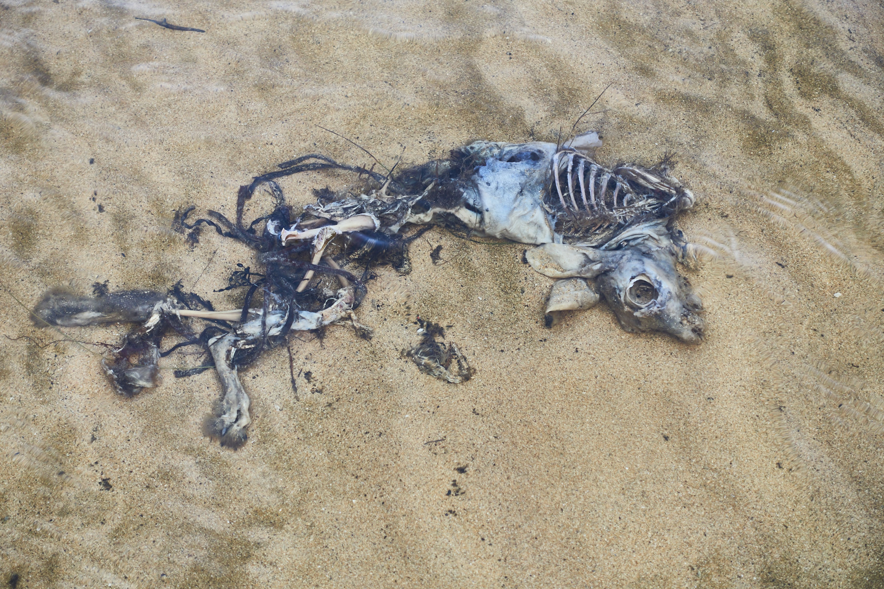 Bretagne 23 11 05 07