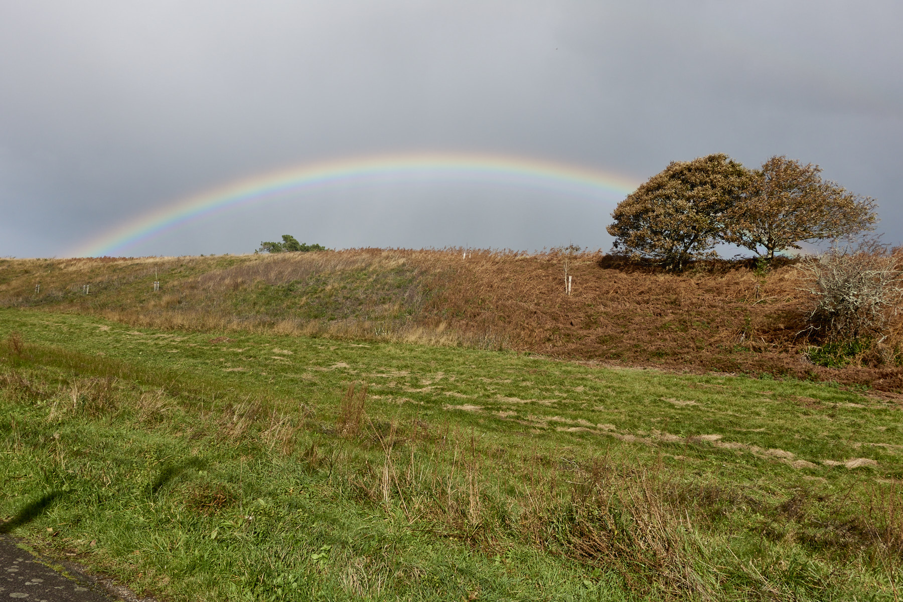Bretagne 23 11 07 13