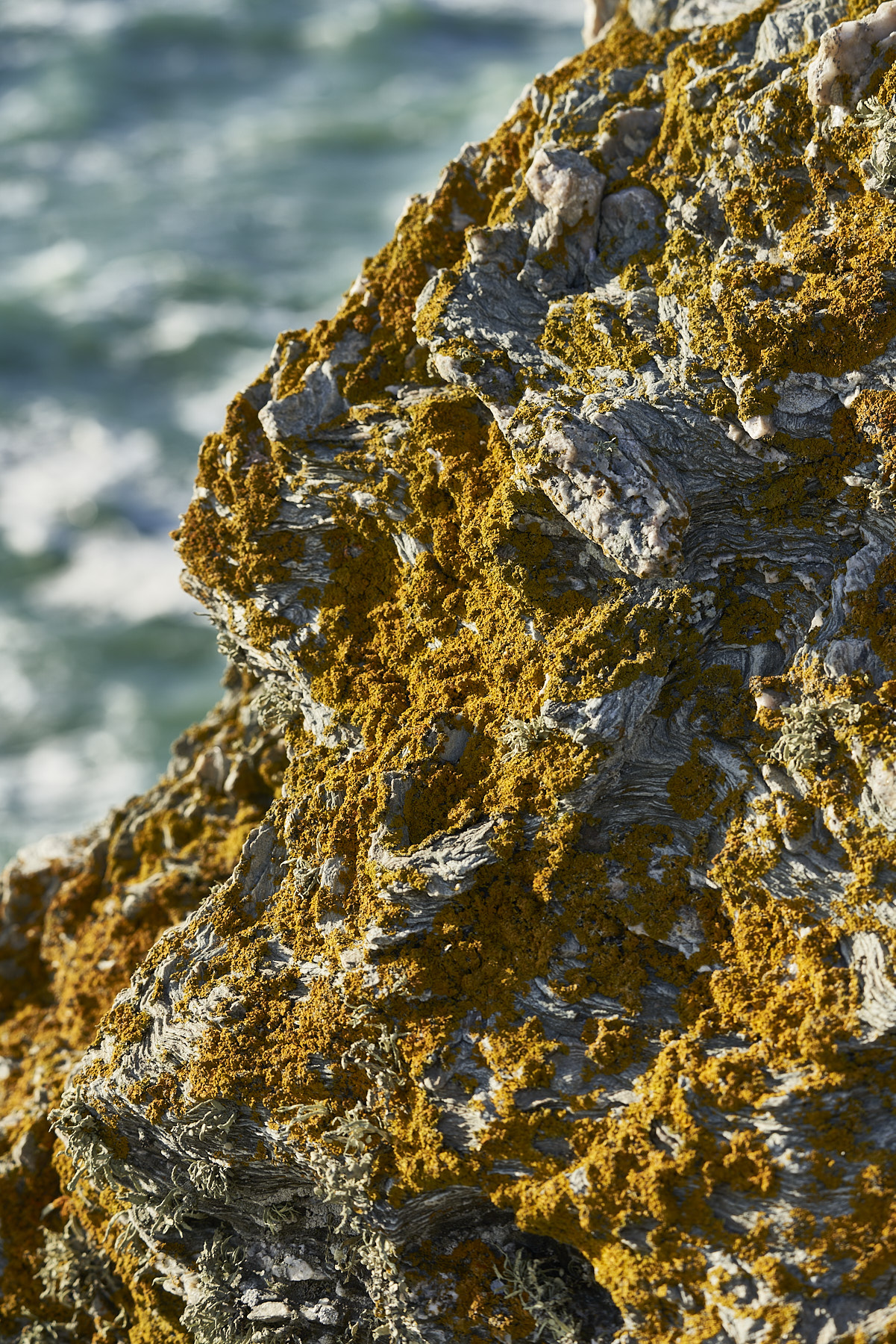 Bretagne 23 11 07 14