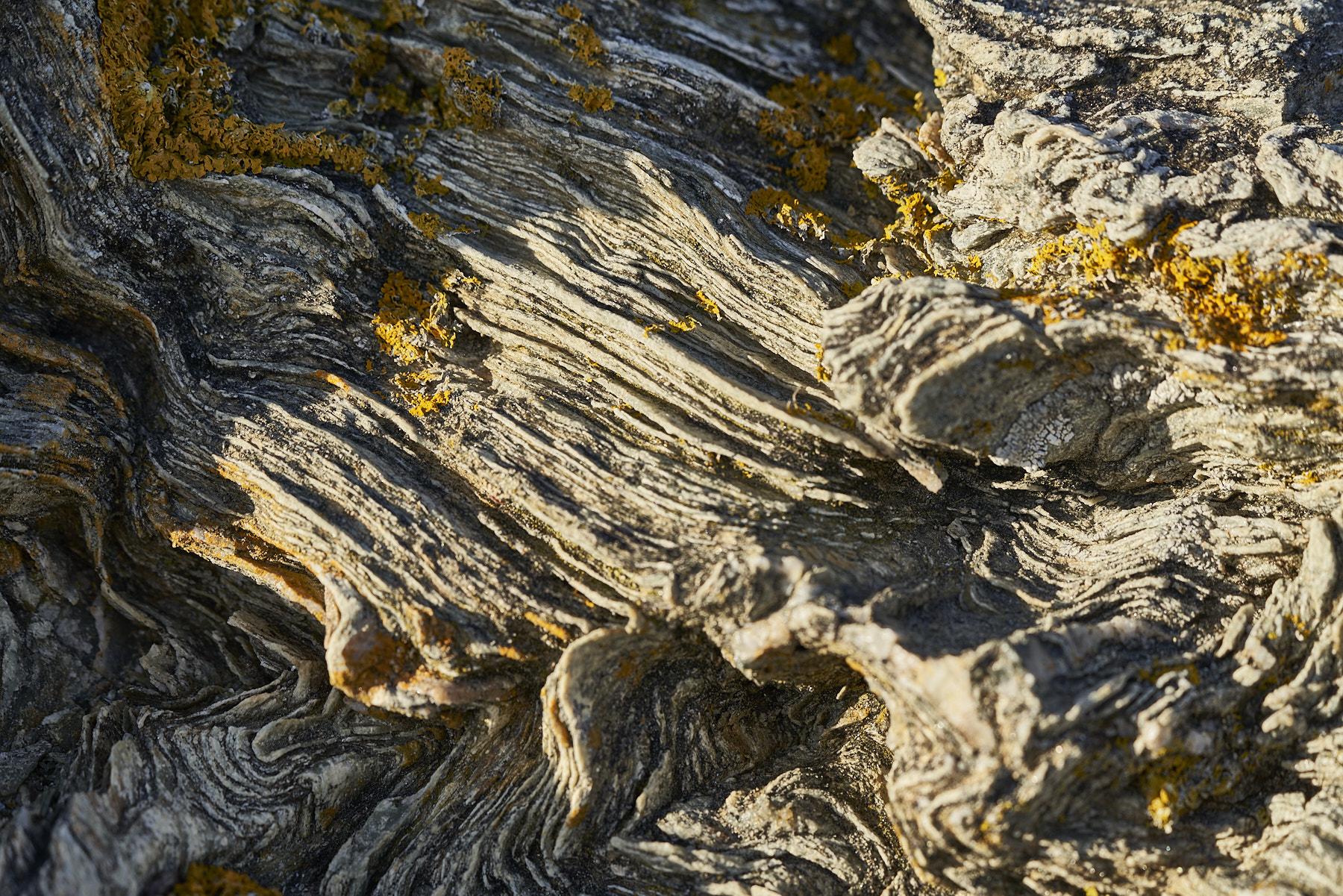 Bretagne 23 11 07 15