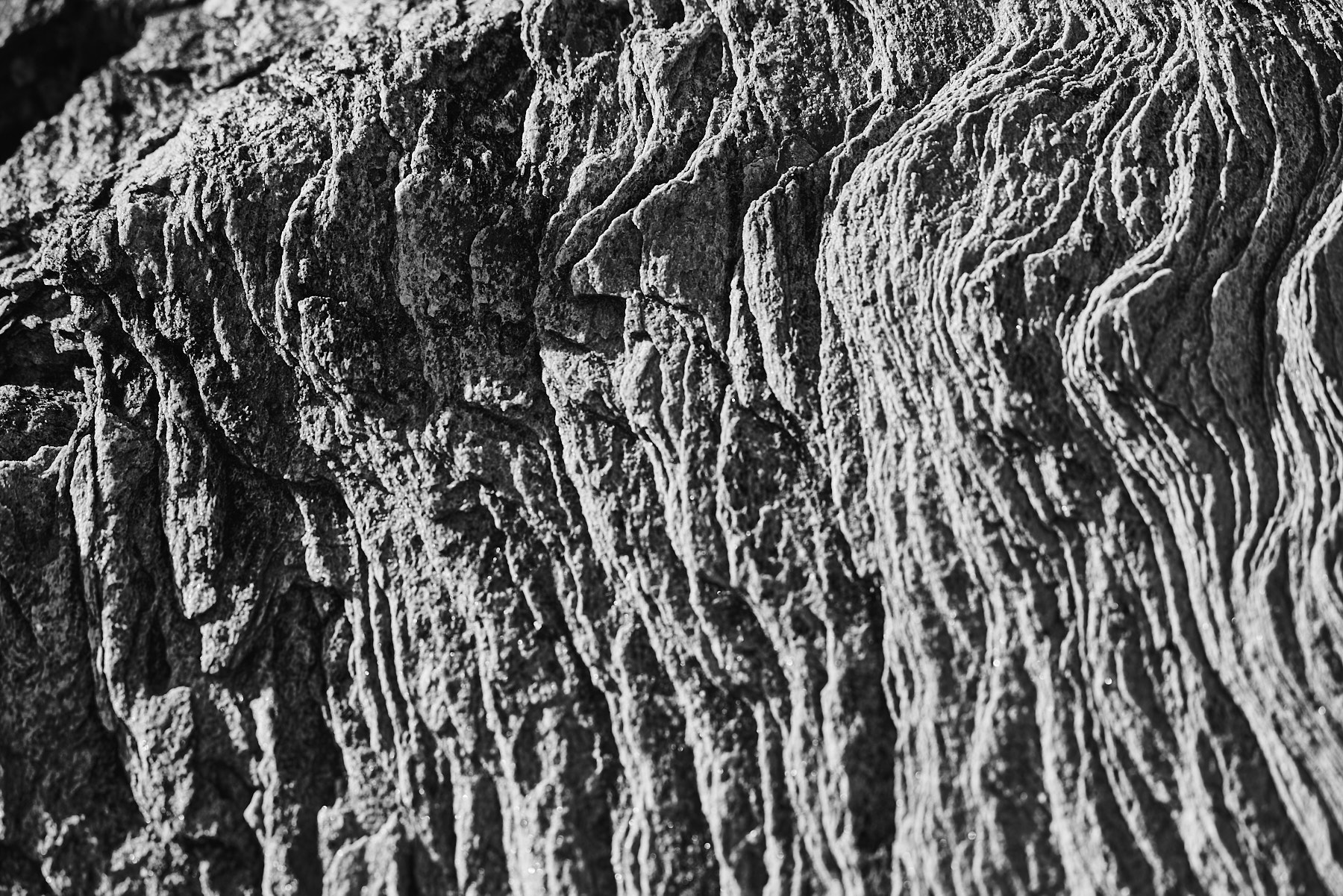 Bretagne 23 11 07 16