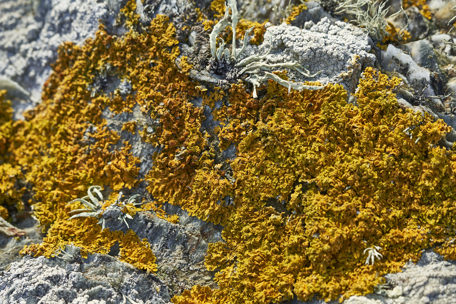 Bretagne 23 11 07 18