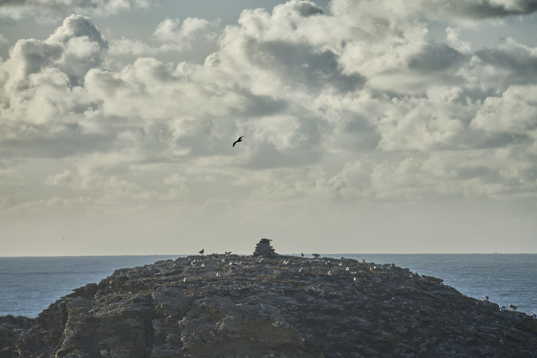 Bretagne 23 11 07 20