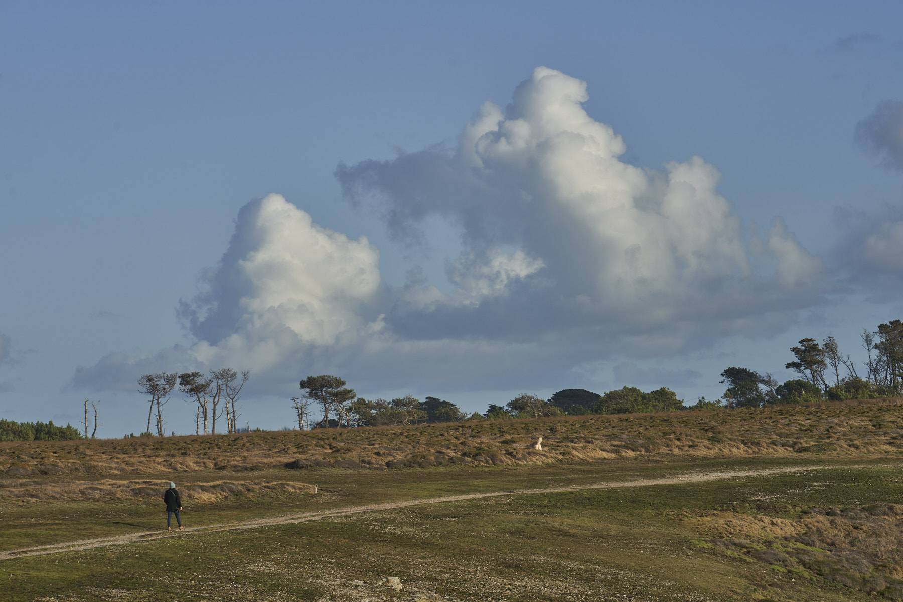 Bretagne 23 11 07 23