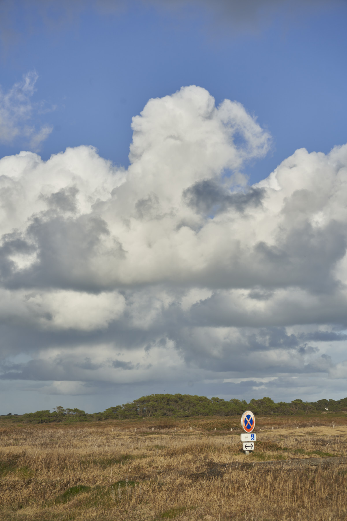 Bretagne 23 11 07 24