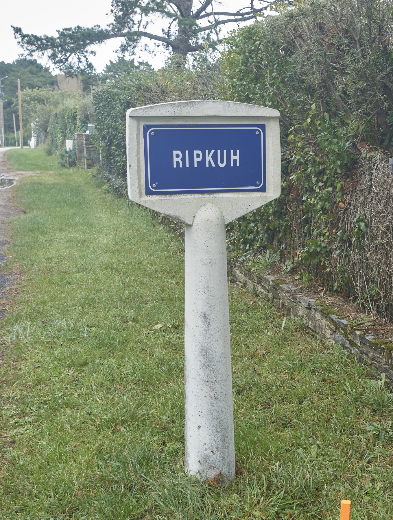 Bretagne 23 11 09 26