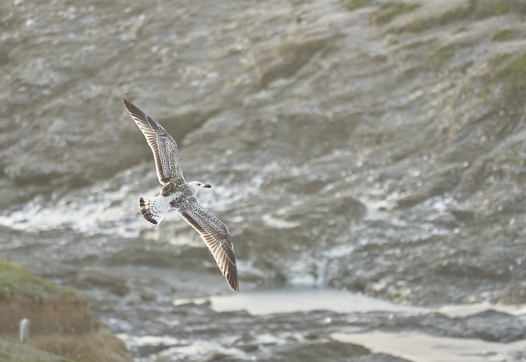 Bretagne 23 11 10 30