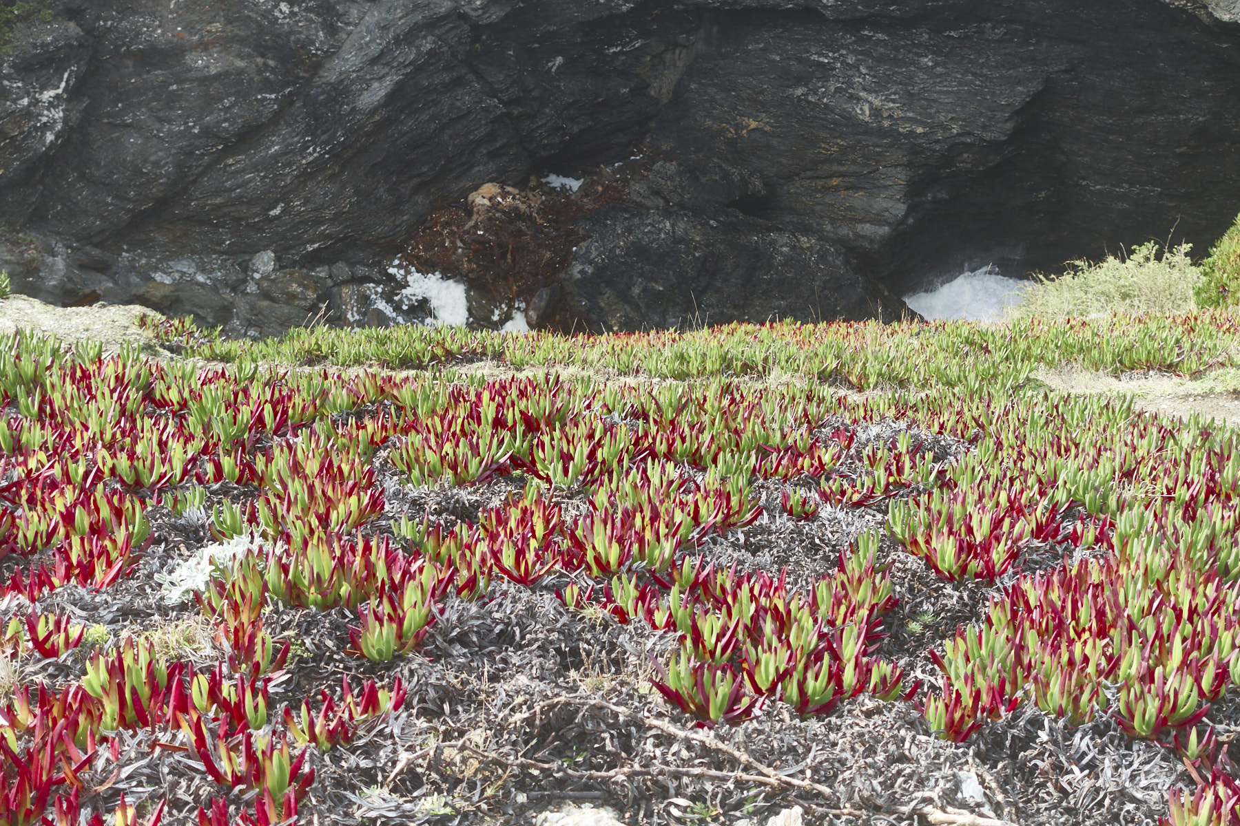 Bretagne 23 11 14 55