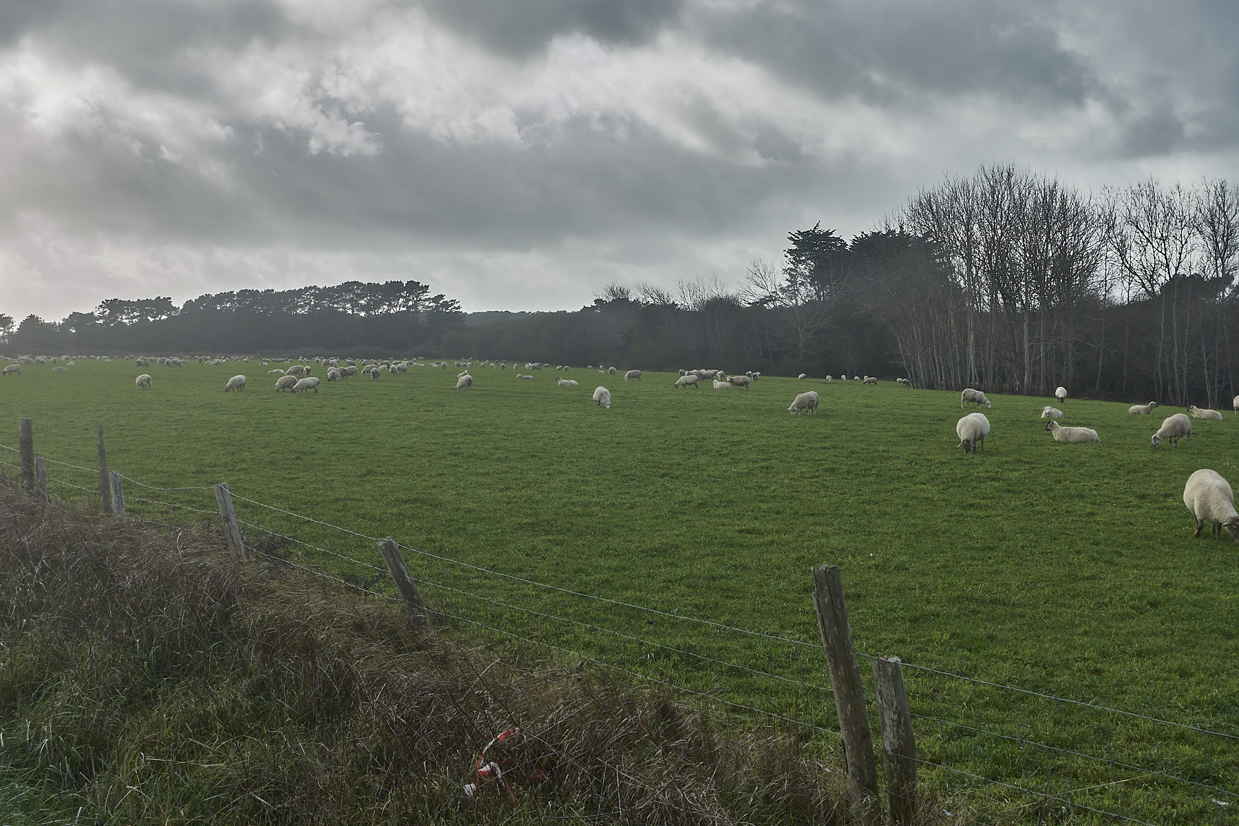 Bretagne 23 11 14 57