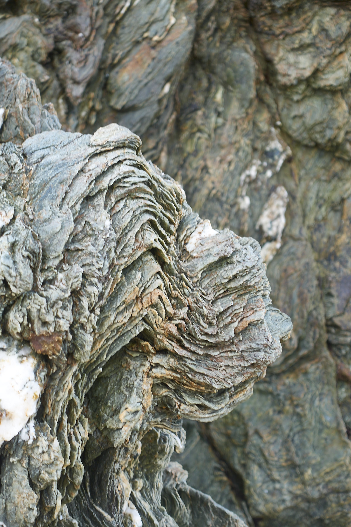 Bretagne 23 11 19 74