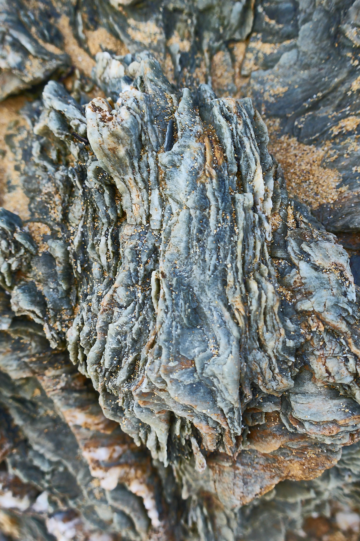 Bretagne 23 11 19 75