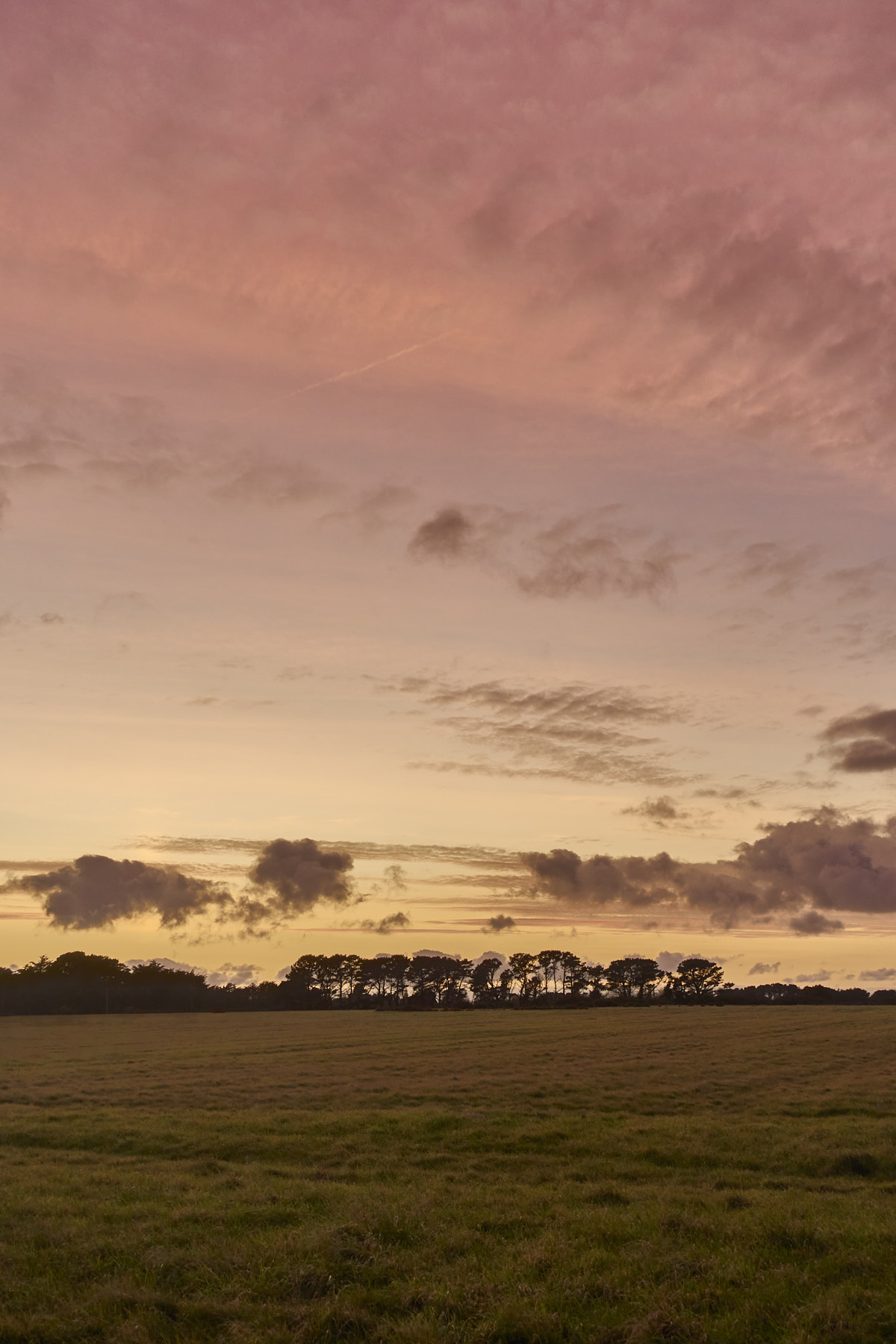 Bretagne 23 11 24 91