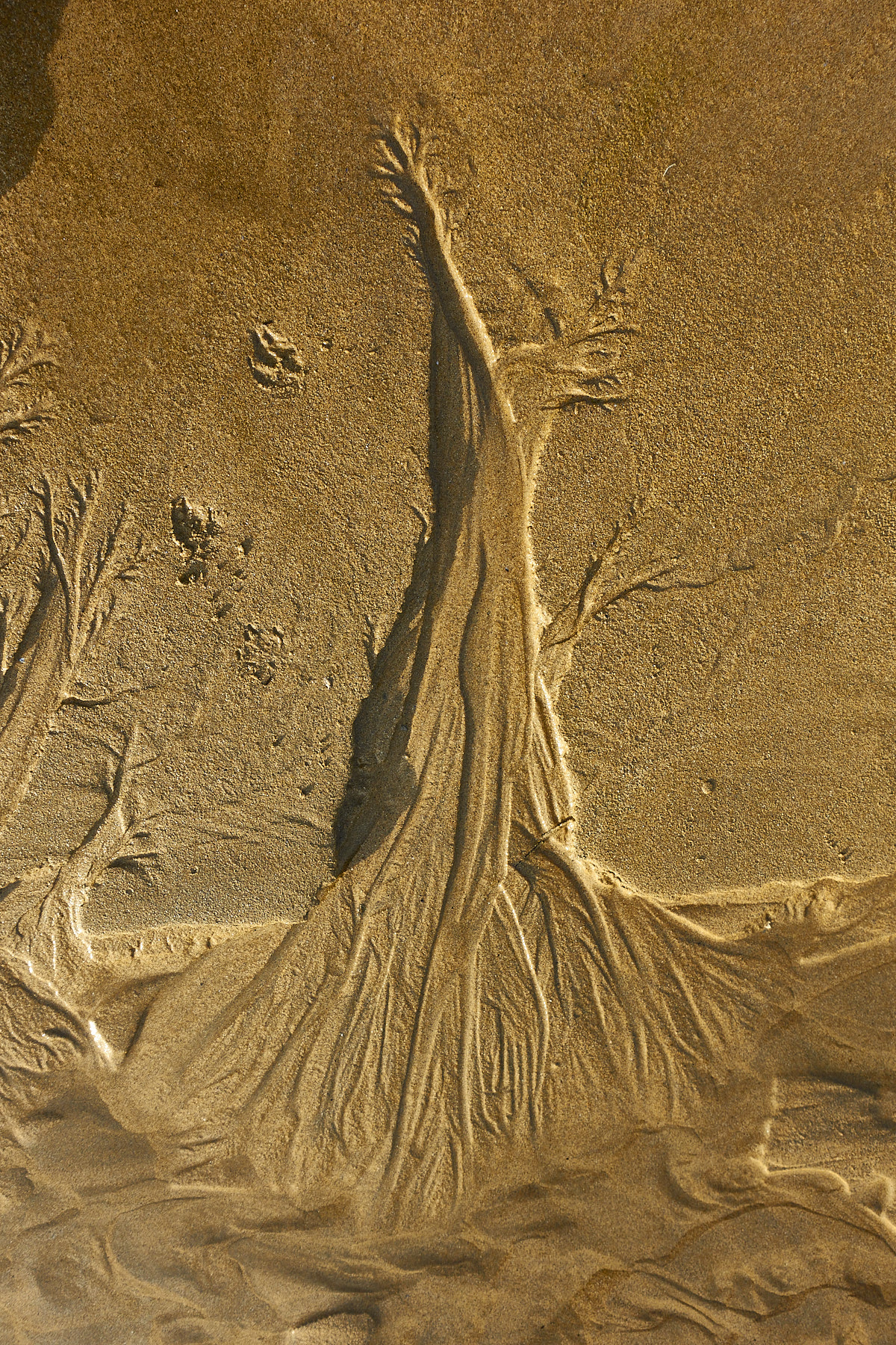 Bretagne 23 12 02 101