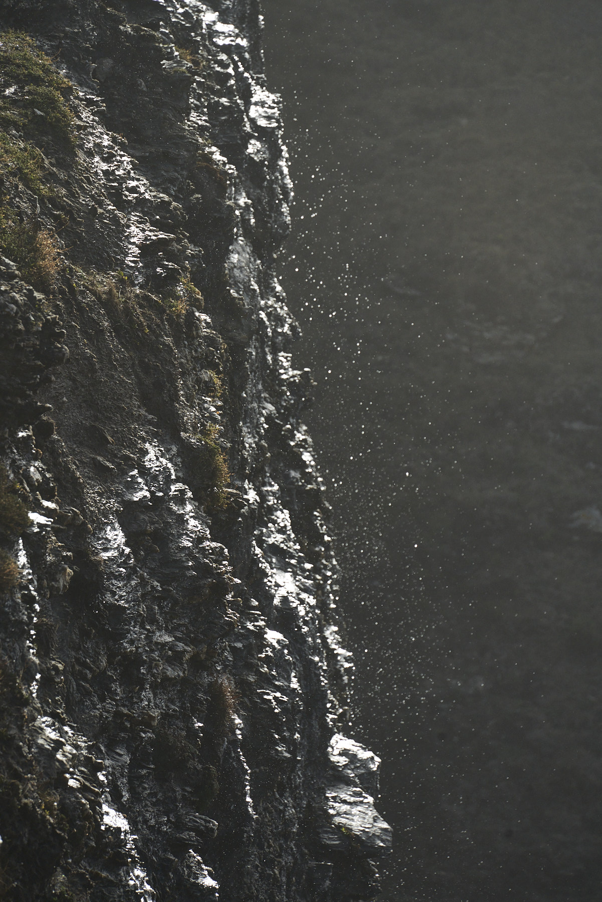 Bretagne 23 12 08 105