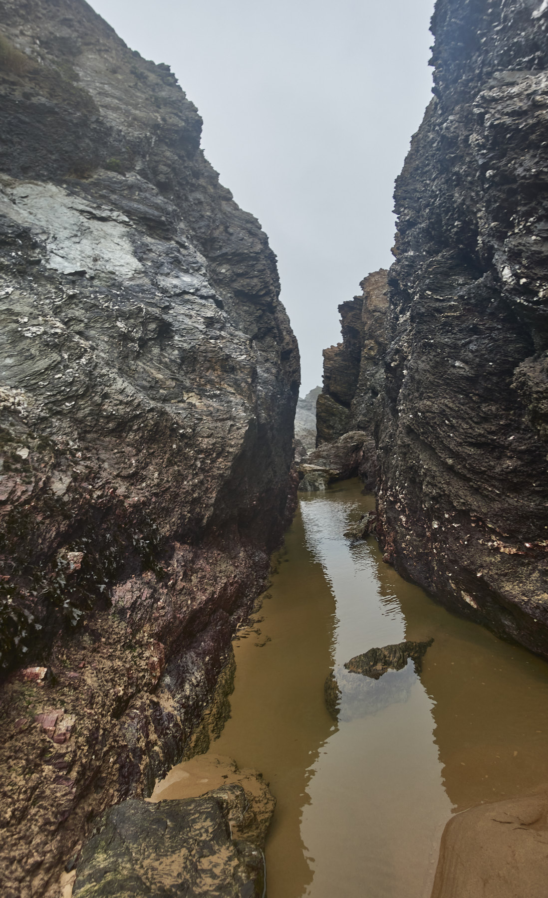 Bretagne 23 12 19 1481