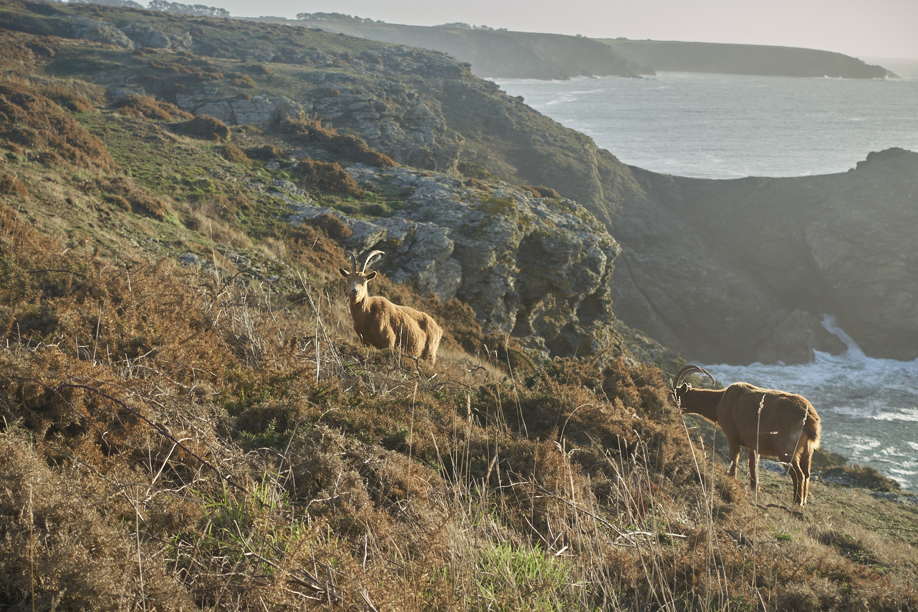 Bretagne 23 12 20 133