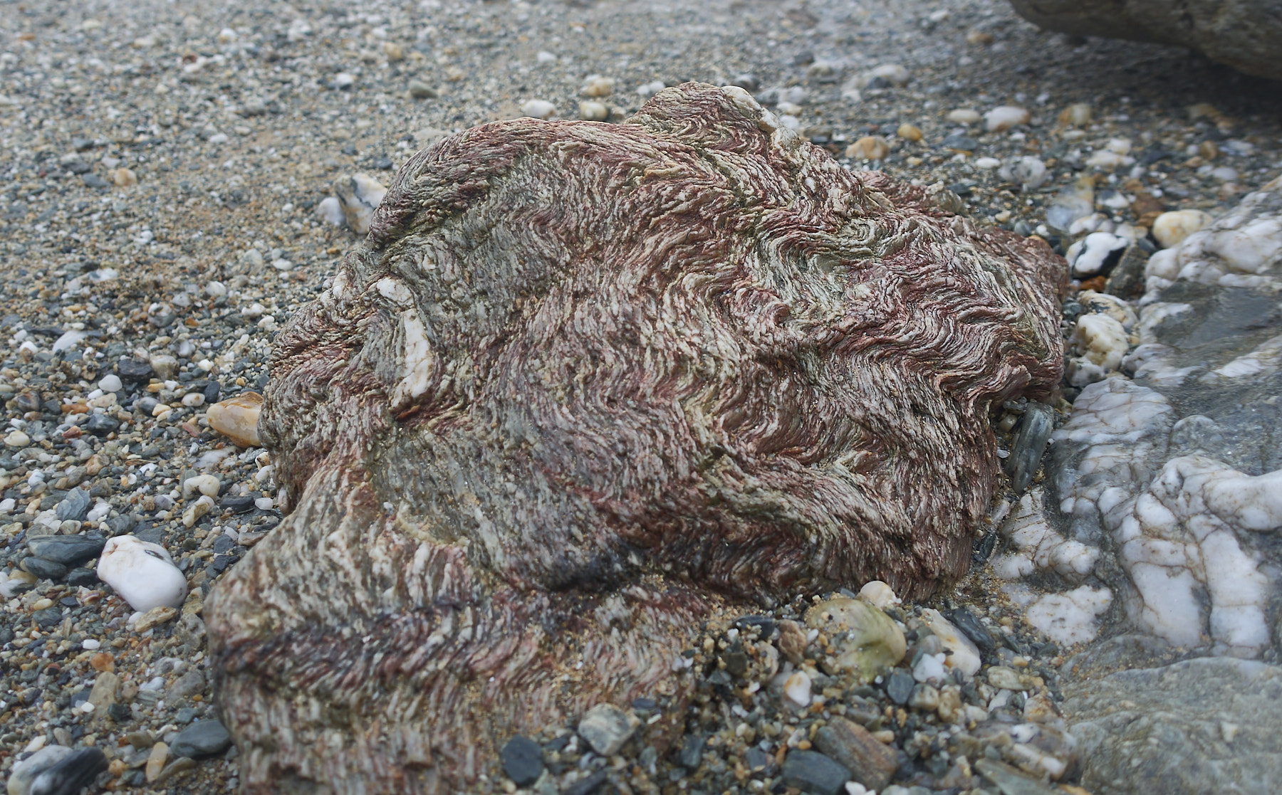 Bretagne 23 12 21 151