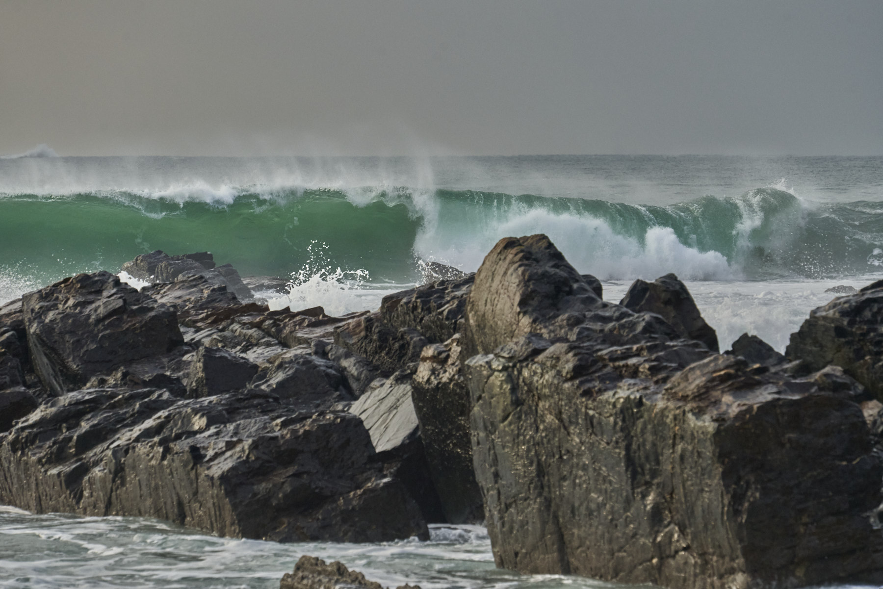 Bretagne 24 01 09 288