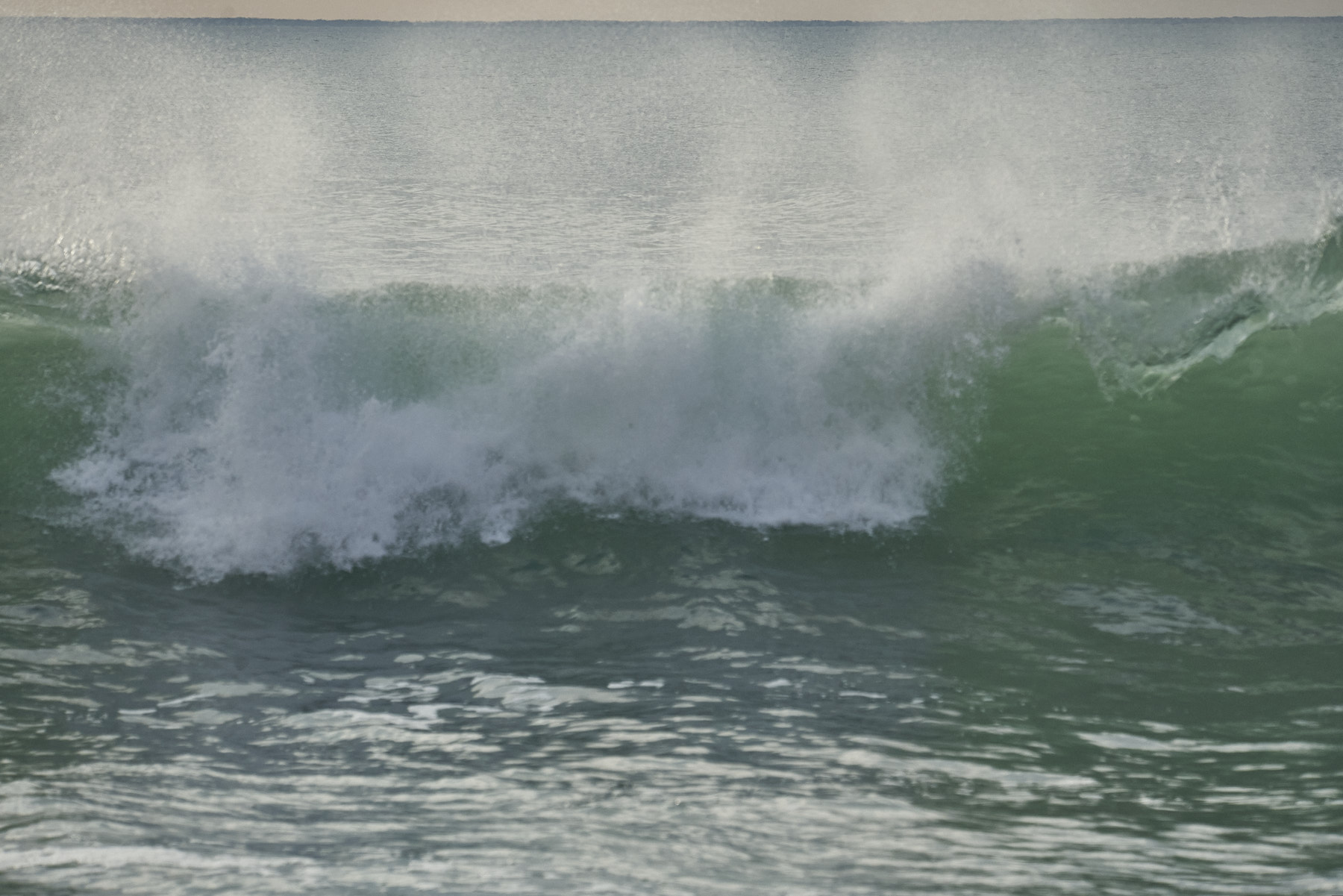 Bretagne 24 01 09 289