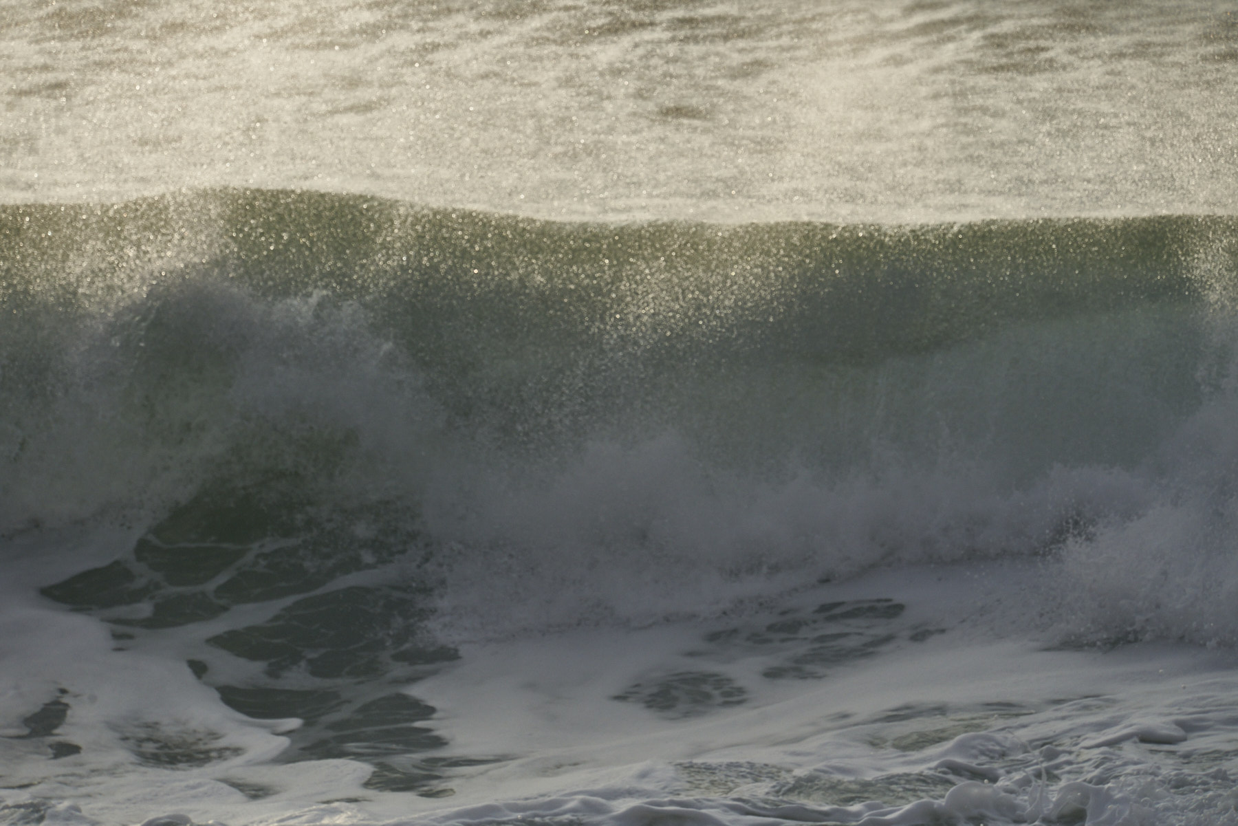 Bretagne 24 01 09 290