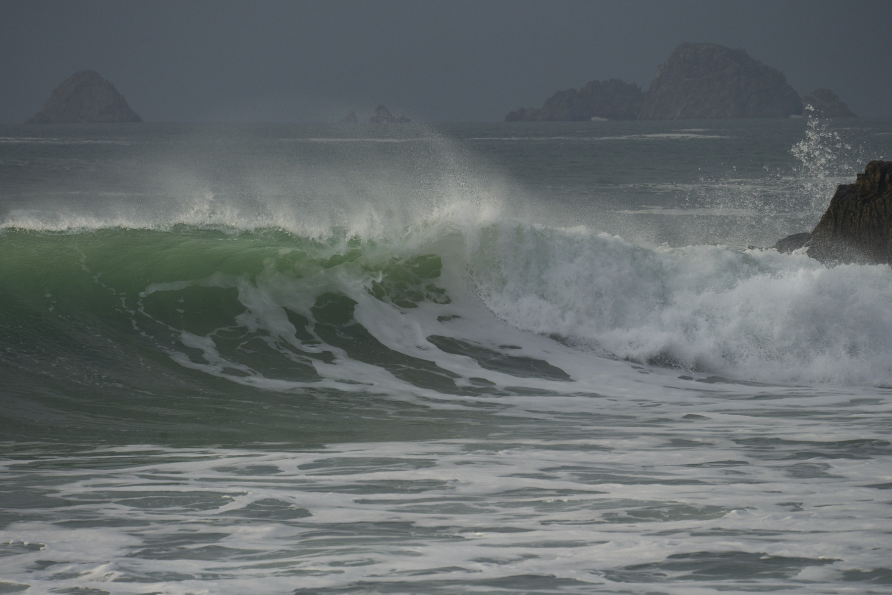 Bretagne 24 01 09 293