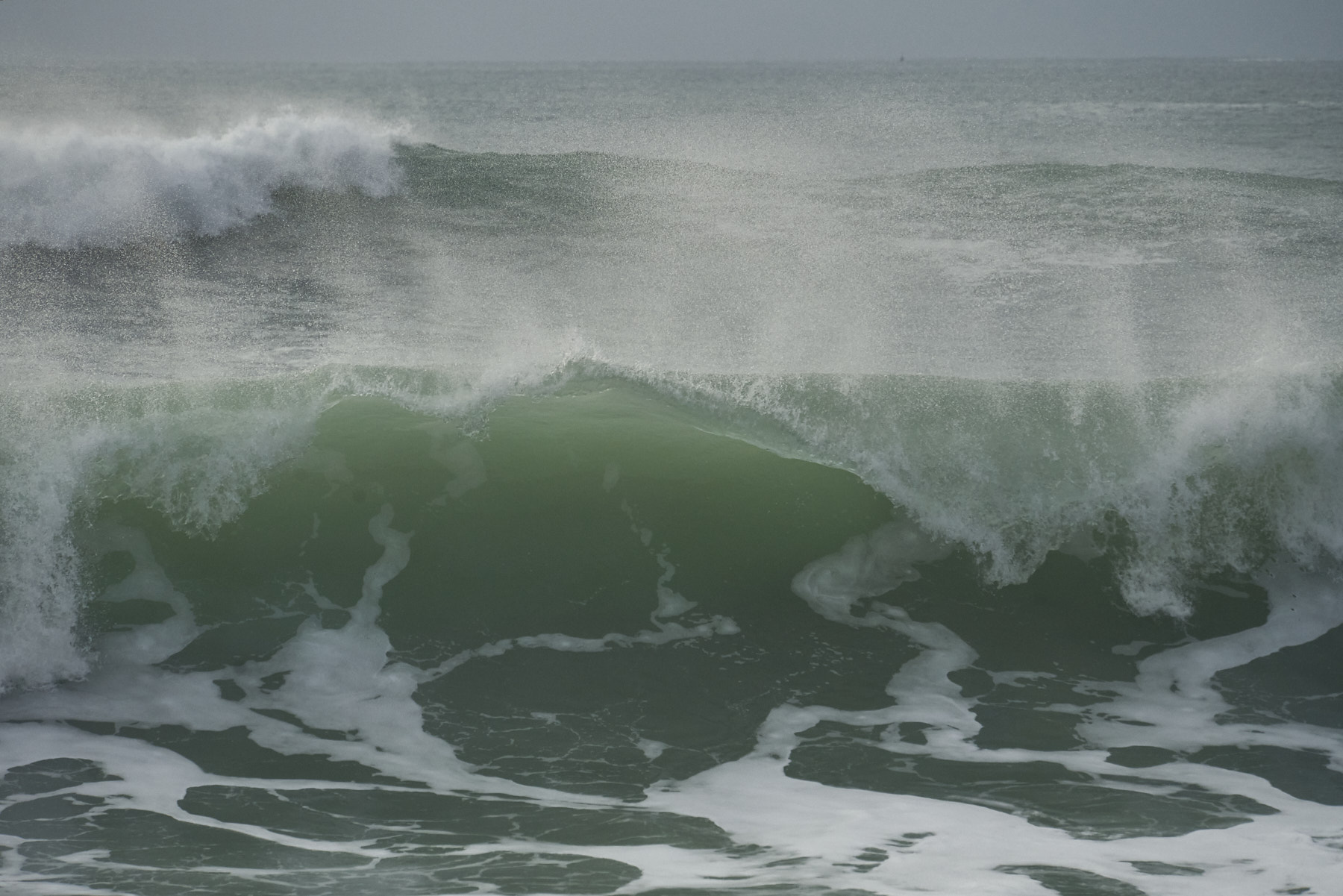 Bretagne 24 01 09 295