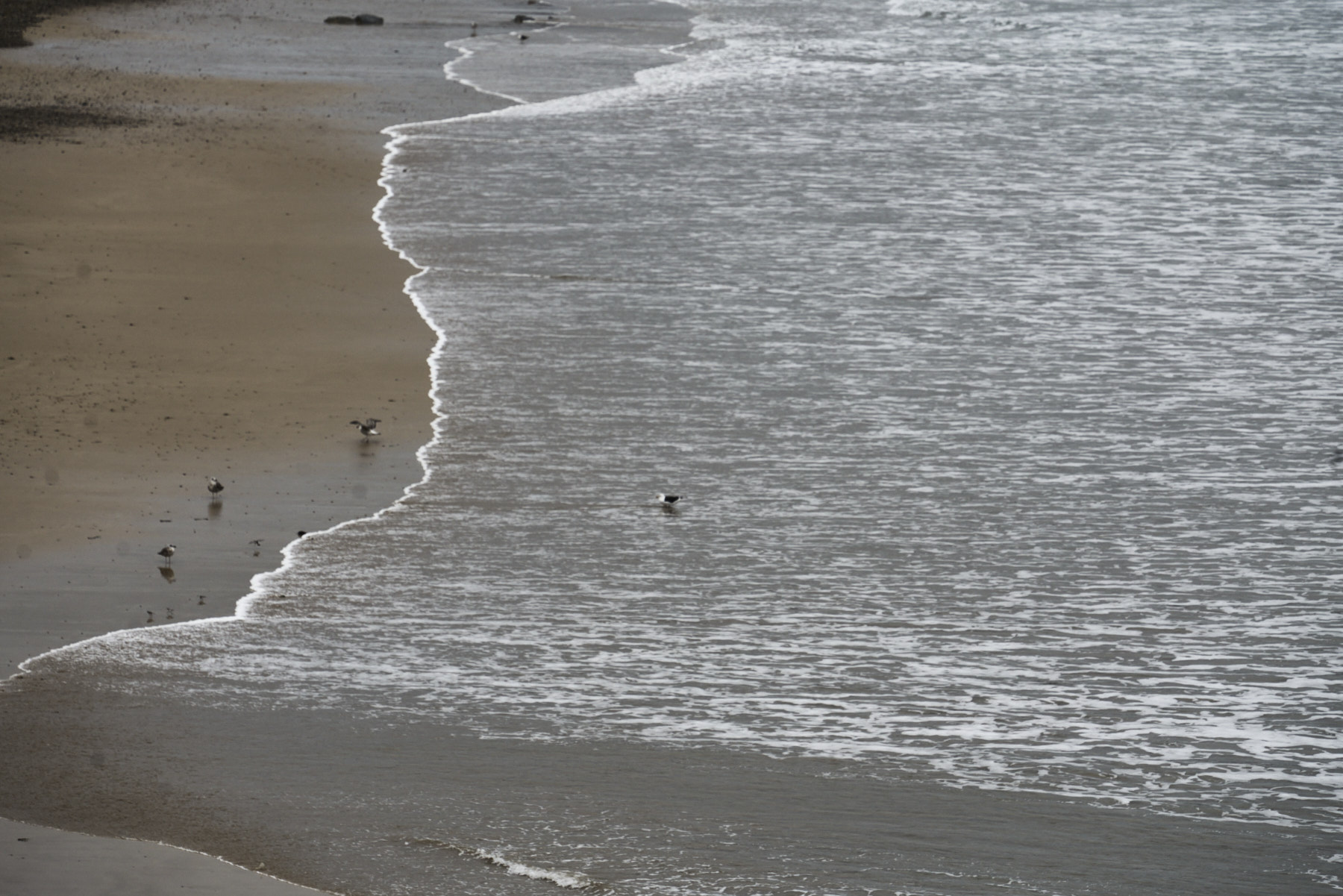 Bretagne 24 01 12 367