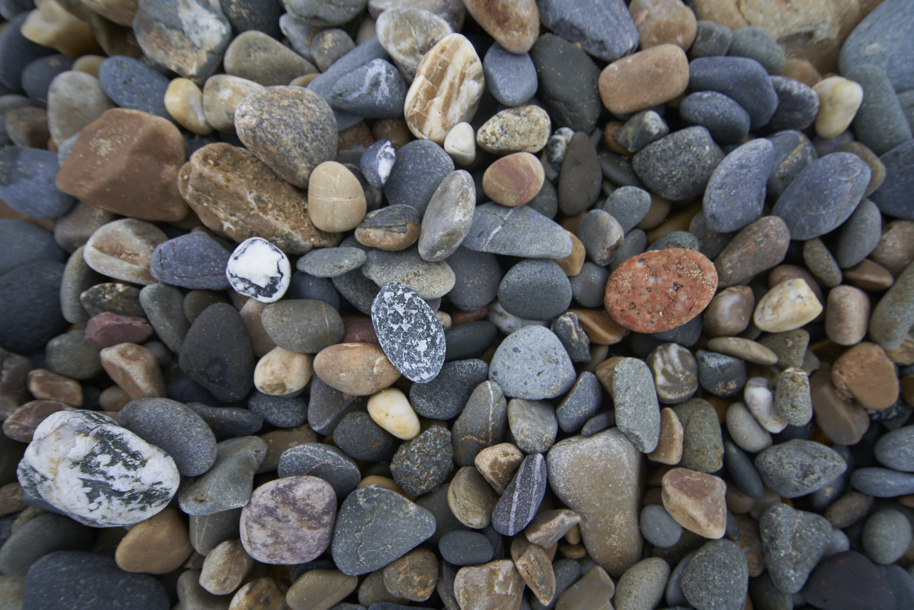 Bretagne 24 01 12 370