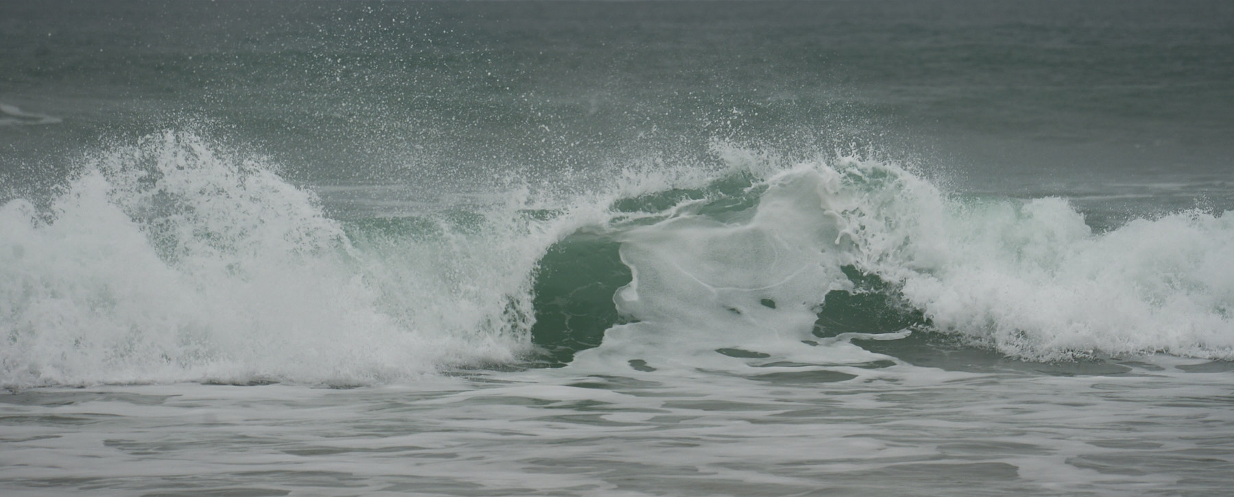 Bretagne 24 01 12 372