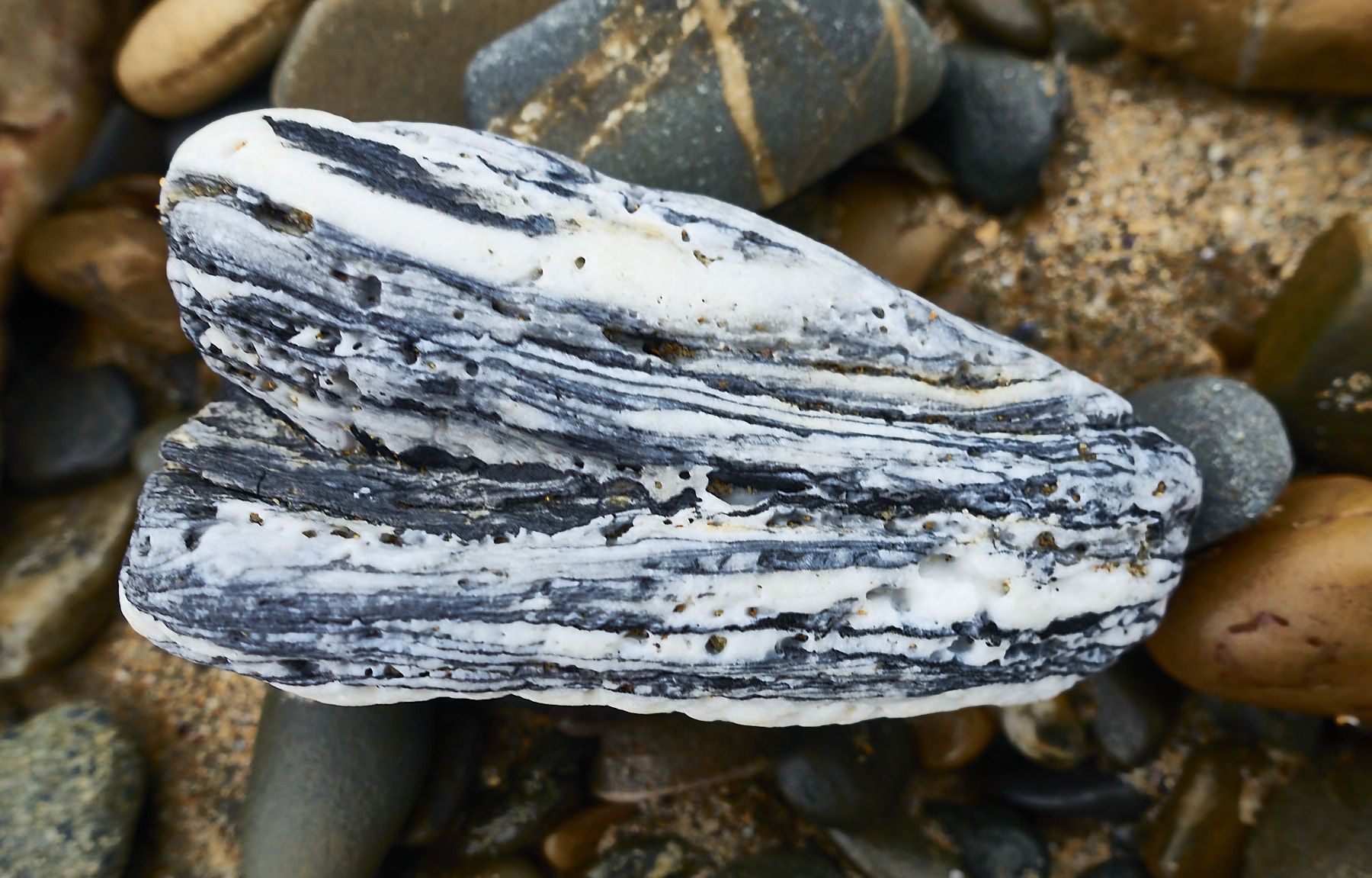 Bretagne 24 01 12 376