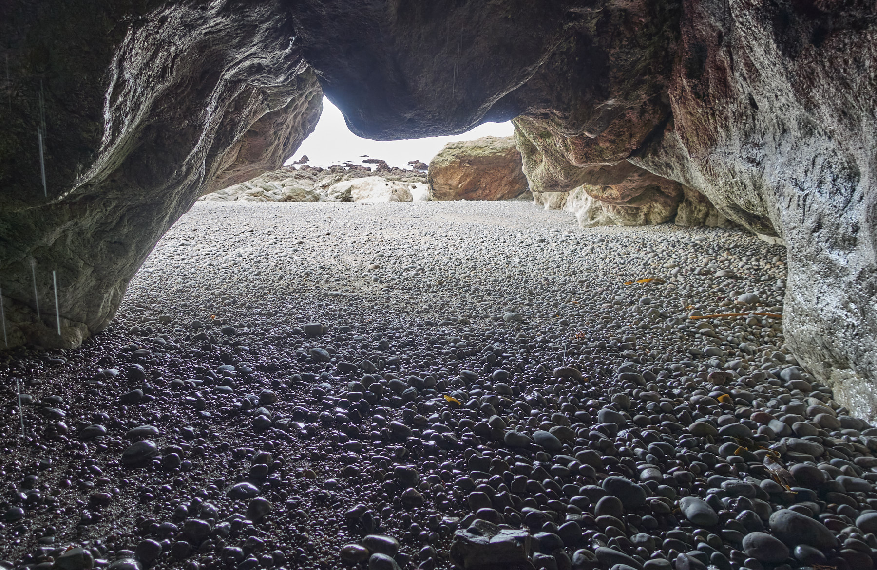 Bretagne 24 01 15 458