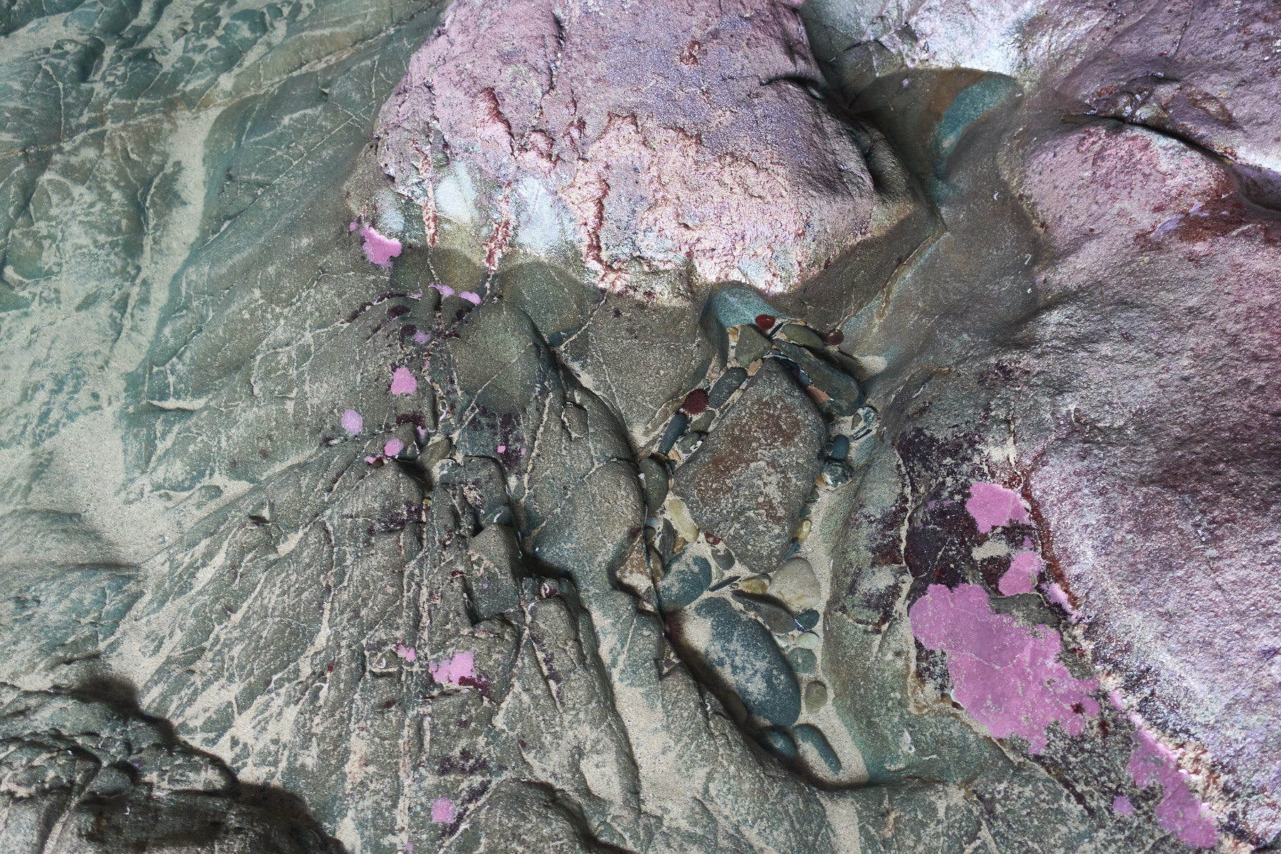 Bretagne 24 01 15 460