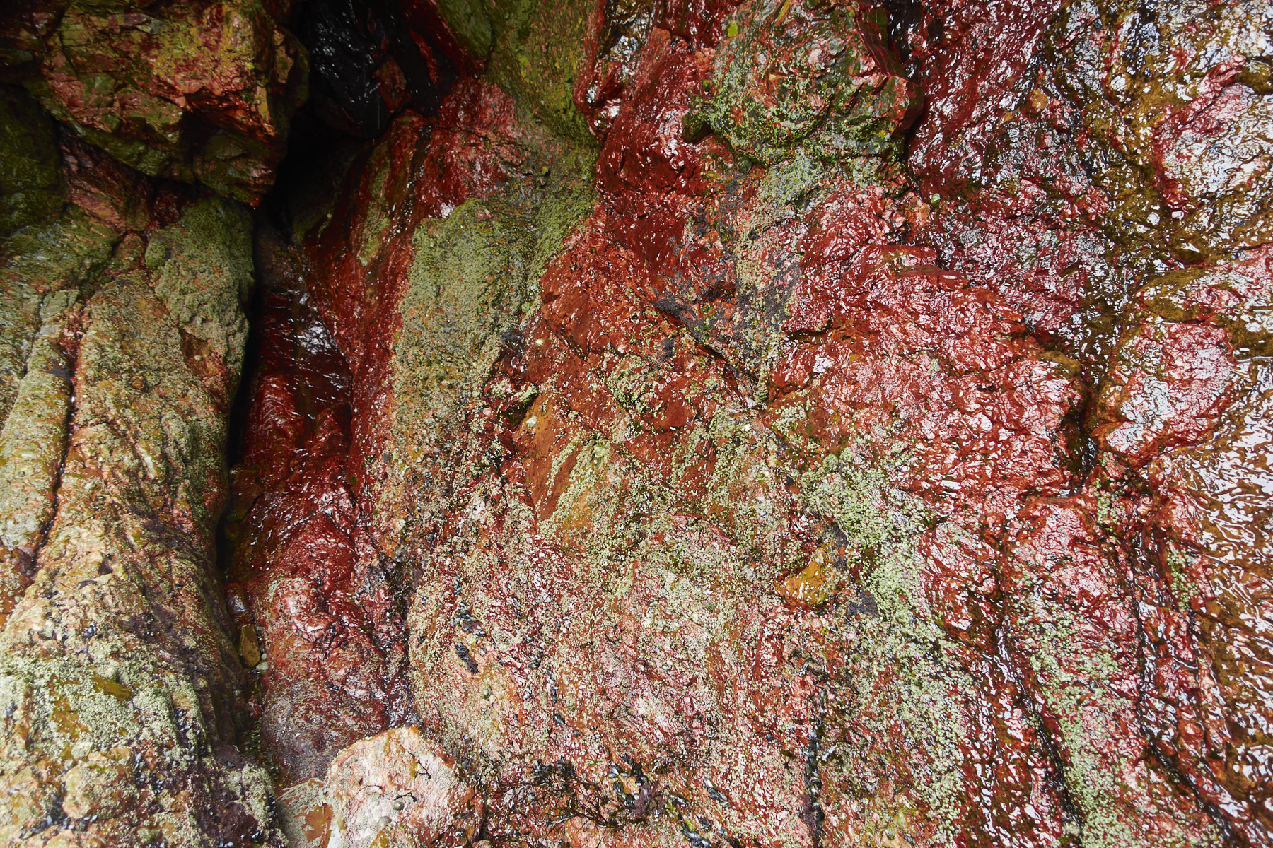 Bretagne 24 01 28 481