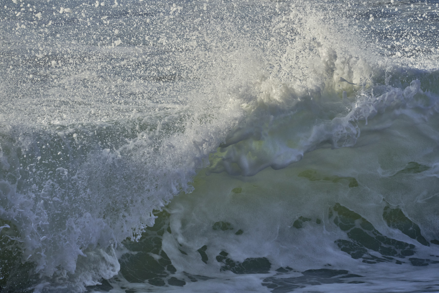 Bretagne 24 01 11 339