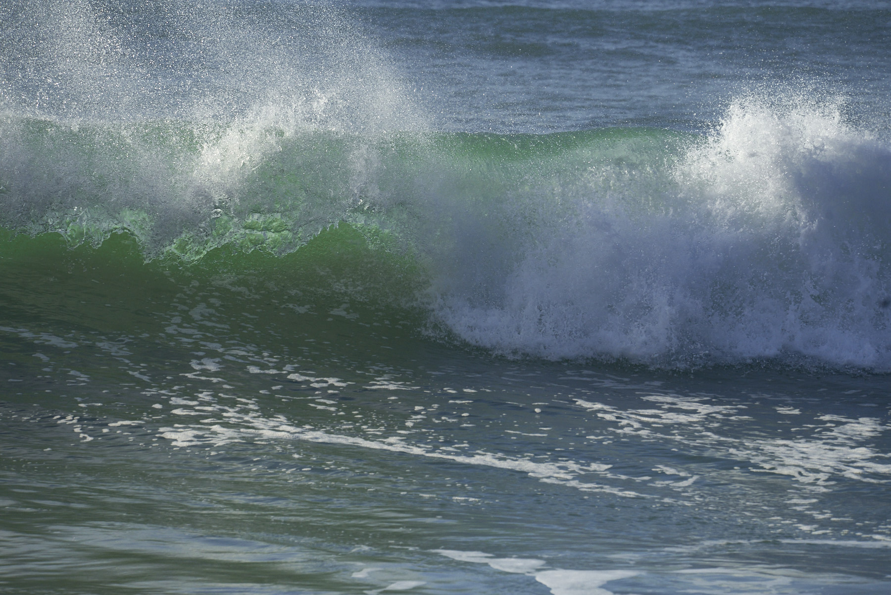 Bretagne 24 01 11 340