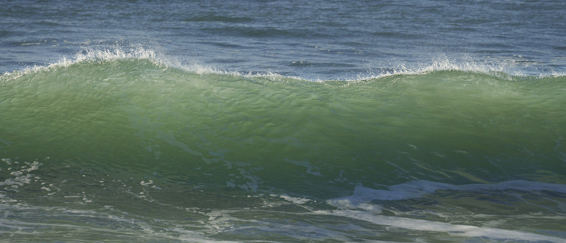 Bretagne 24 01 11 341