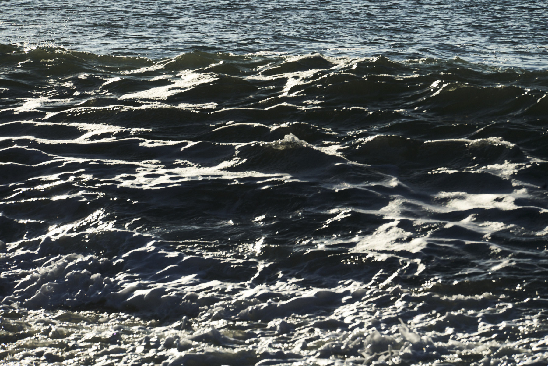 Bretagne 24 01 11 342