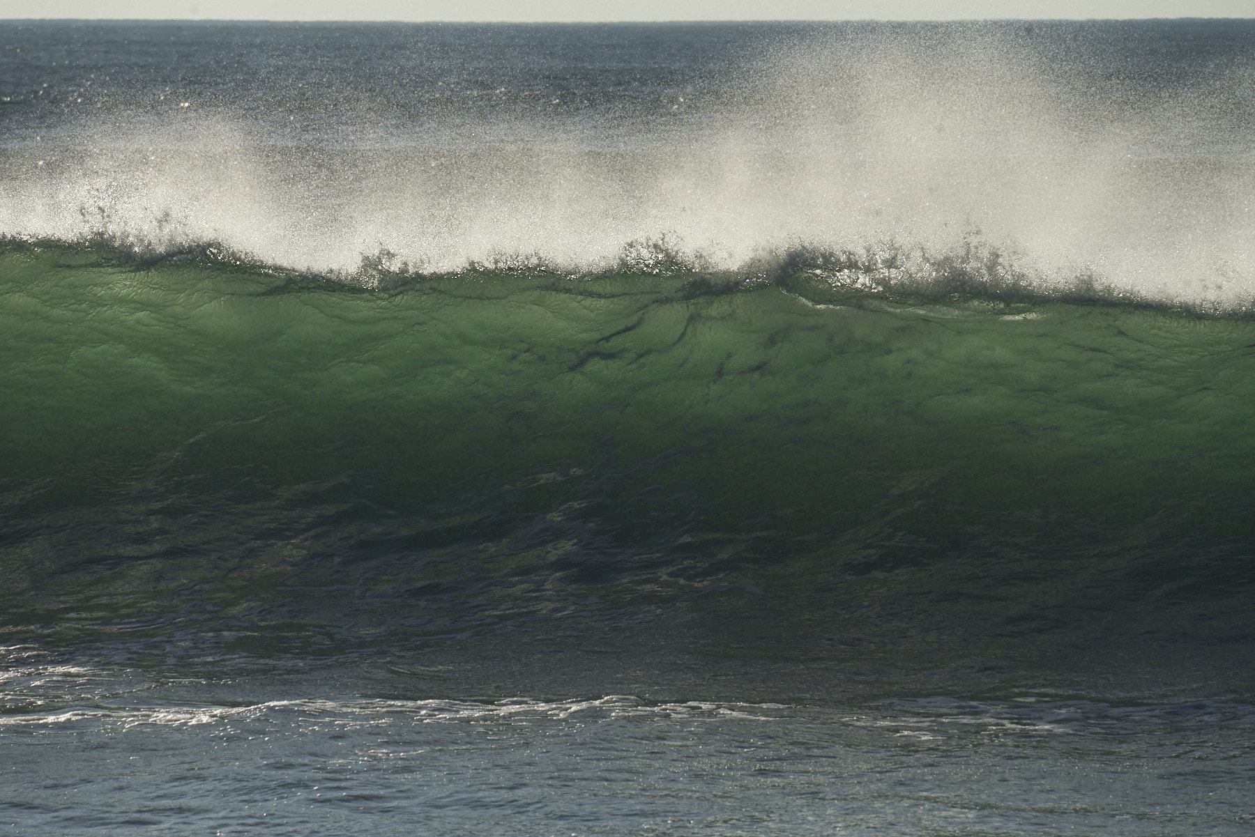 Bretagne 24 01 11 343