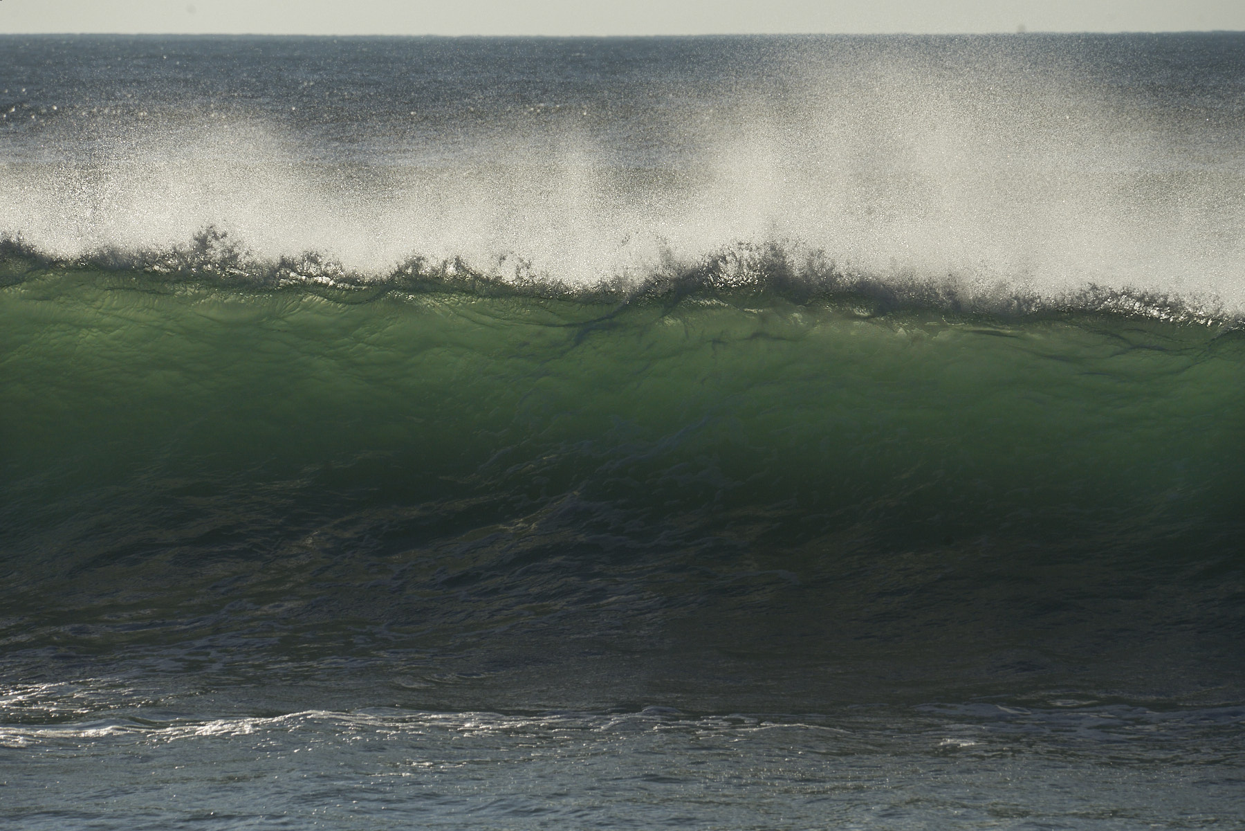 Bretagne 24 01 11 344