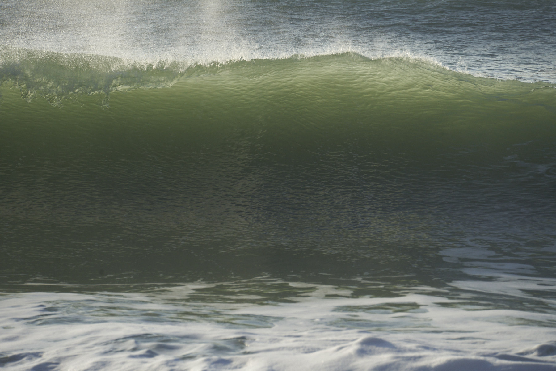 Bretagne 24 01 11 345