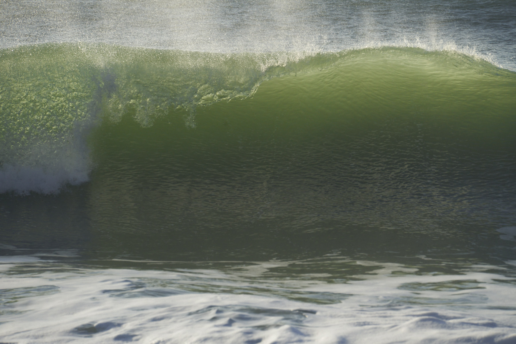 Bretagne 24 01 11 346