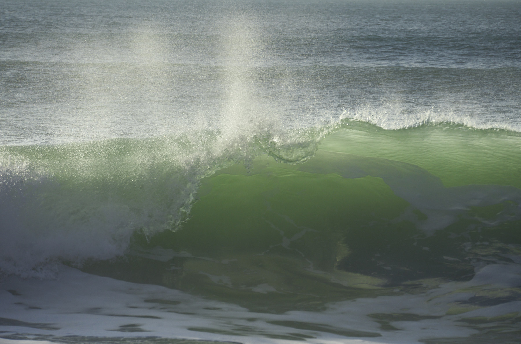 Bretagne 24 01 11 347