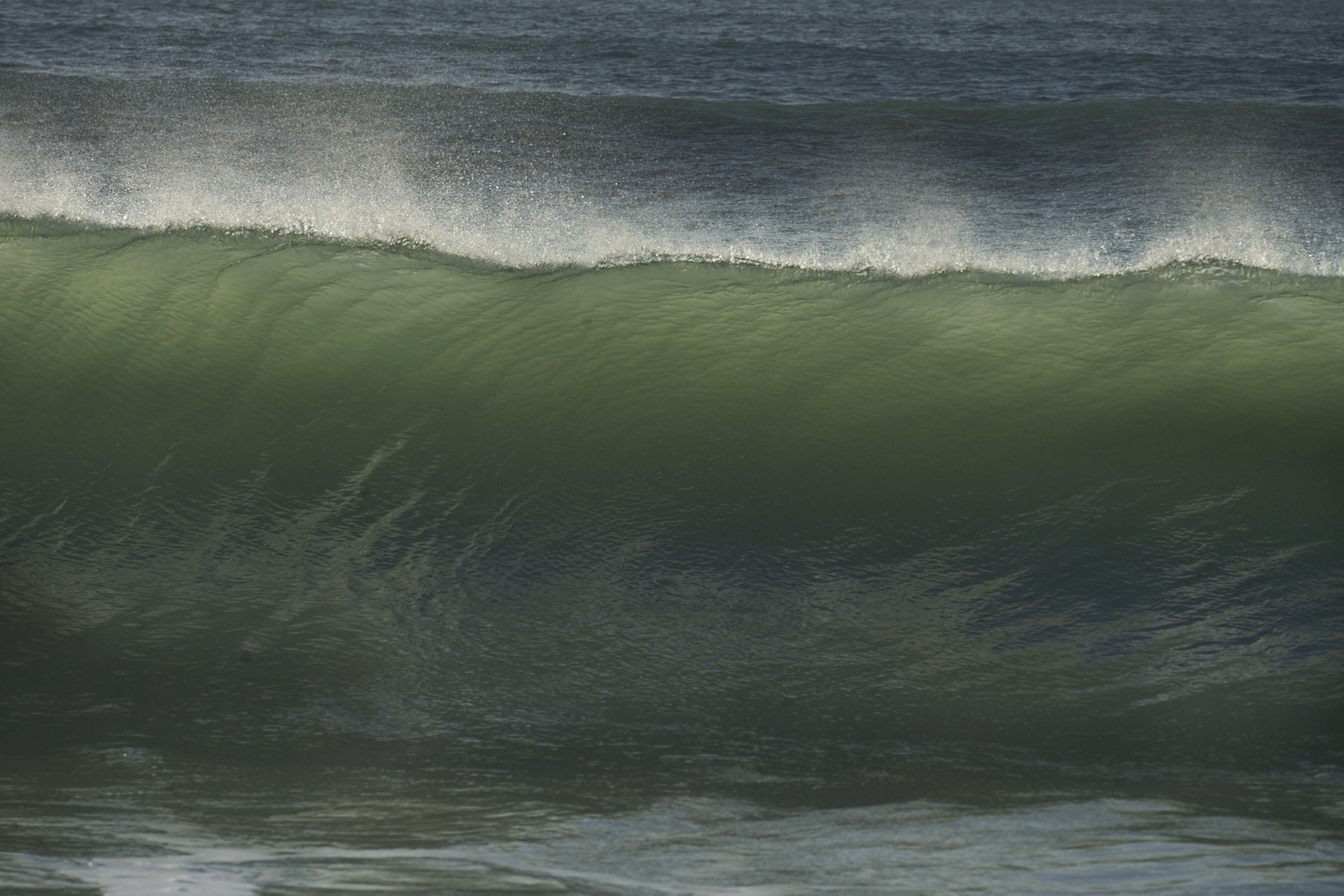 Bretagne 24 01 11 348