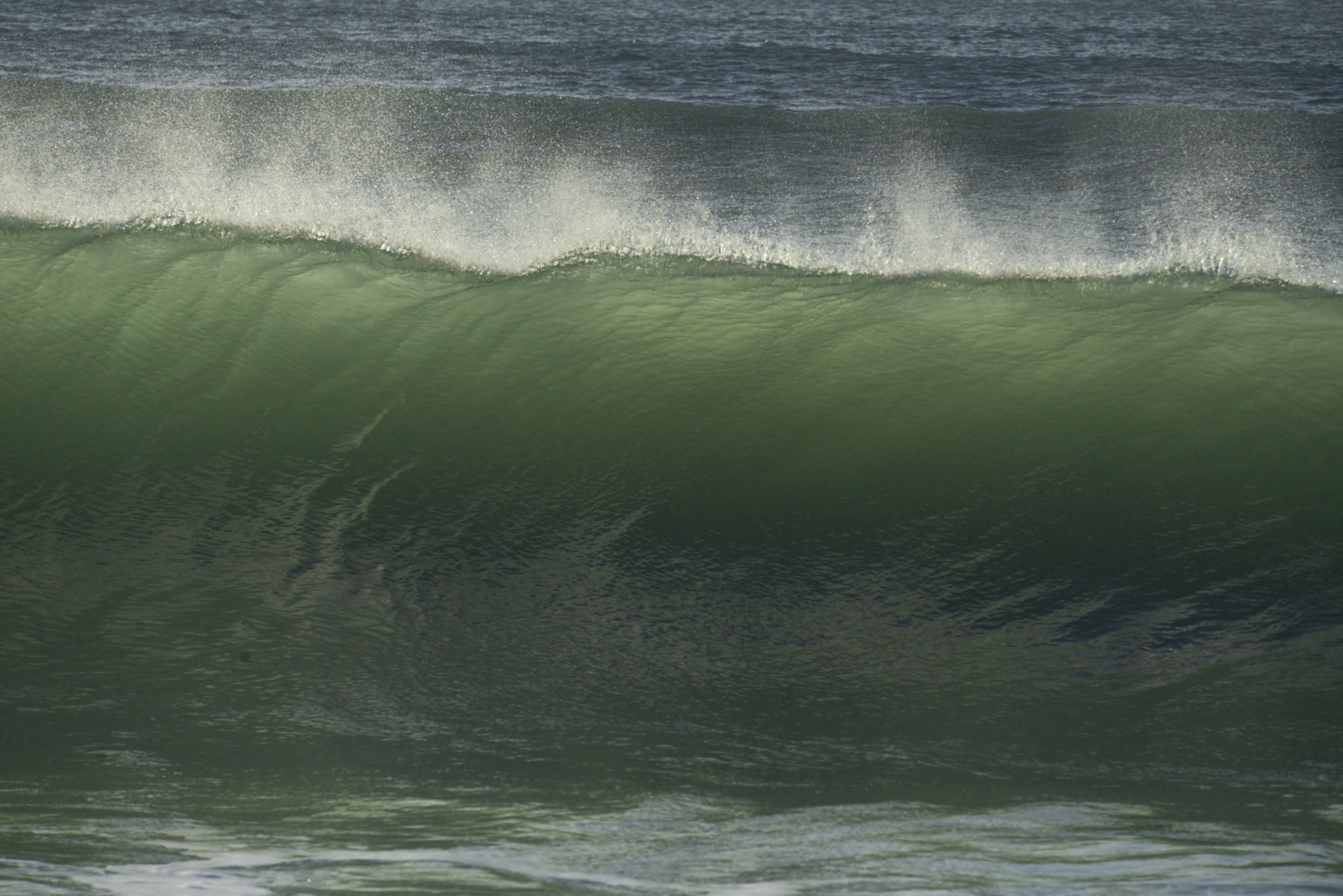 Bretagne 24 01 11 349