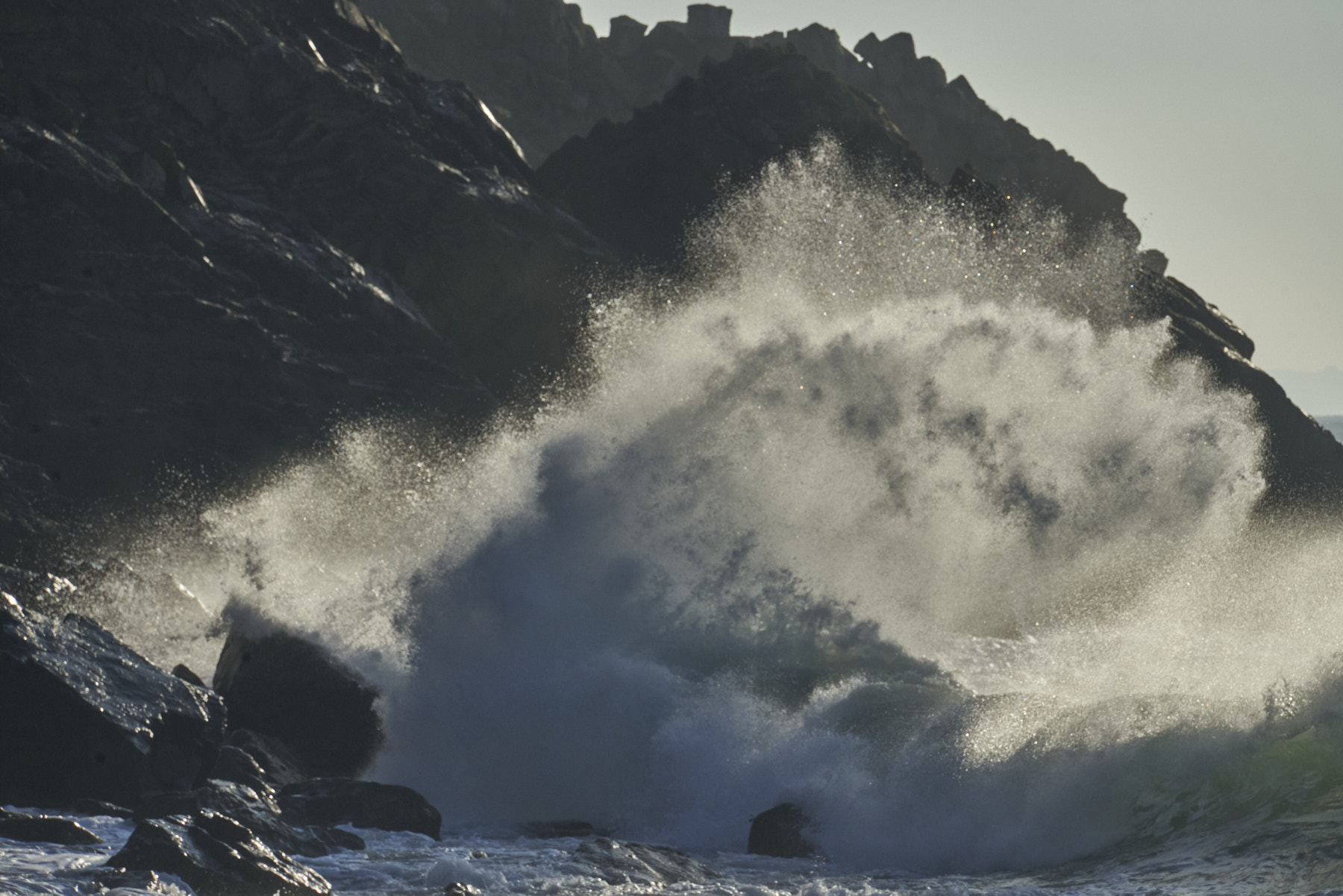 Bretagne 24 01 11 350