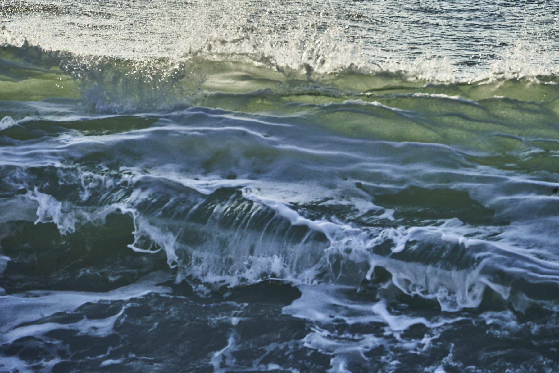 Bretagne 24 01 11 352