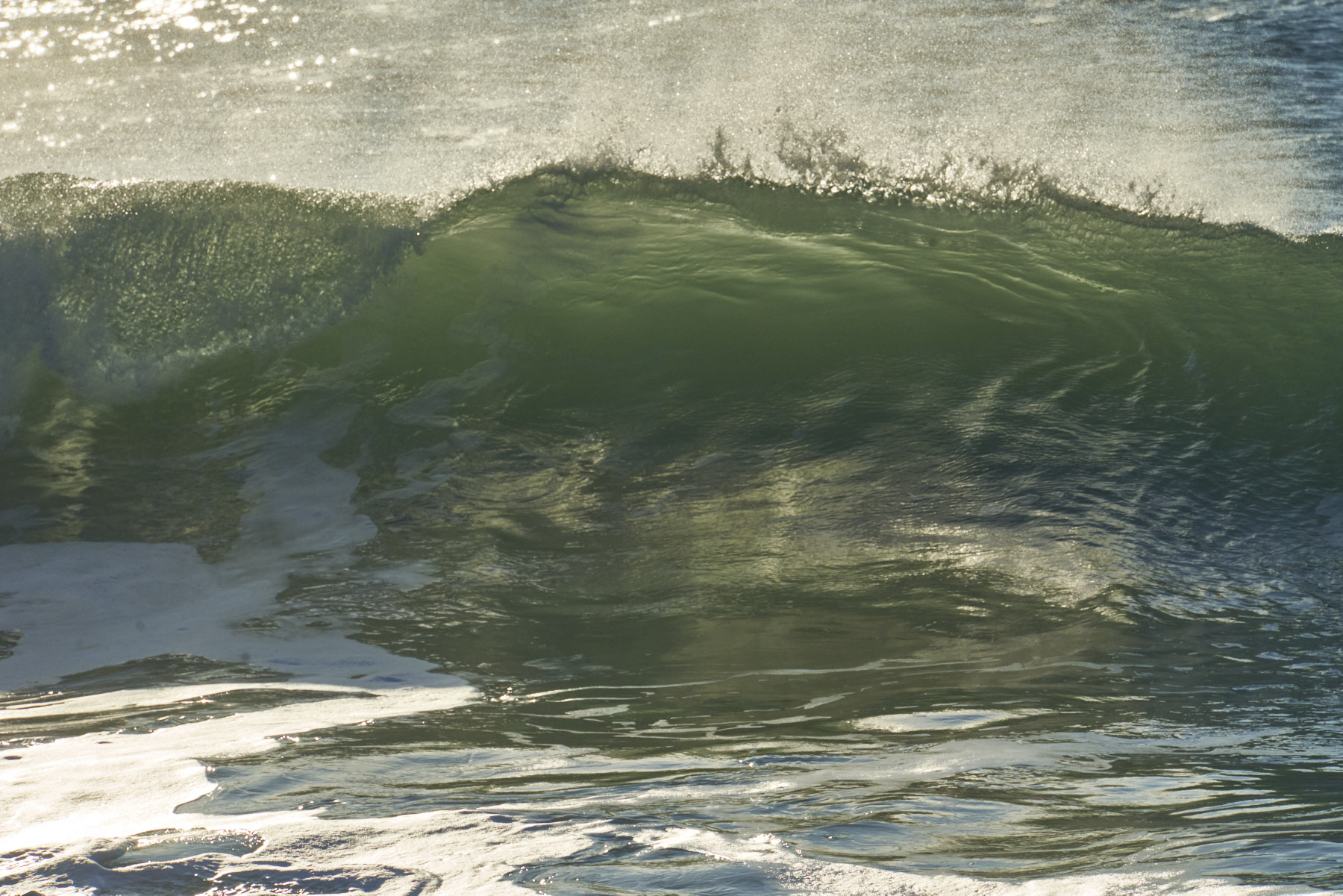 Bretagne 24 01 11 354