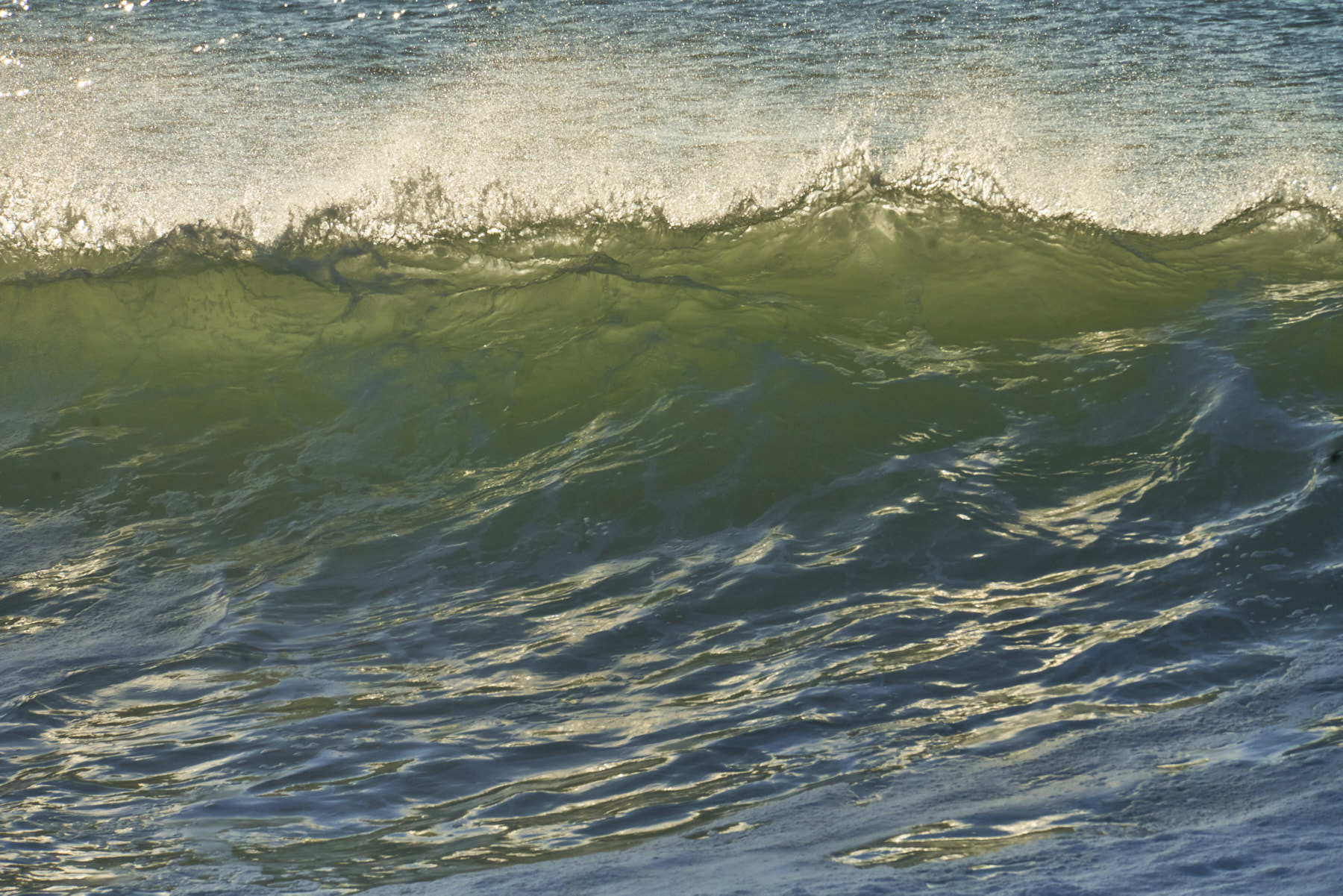 Bretagne 24 01 11 355