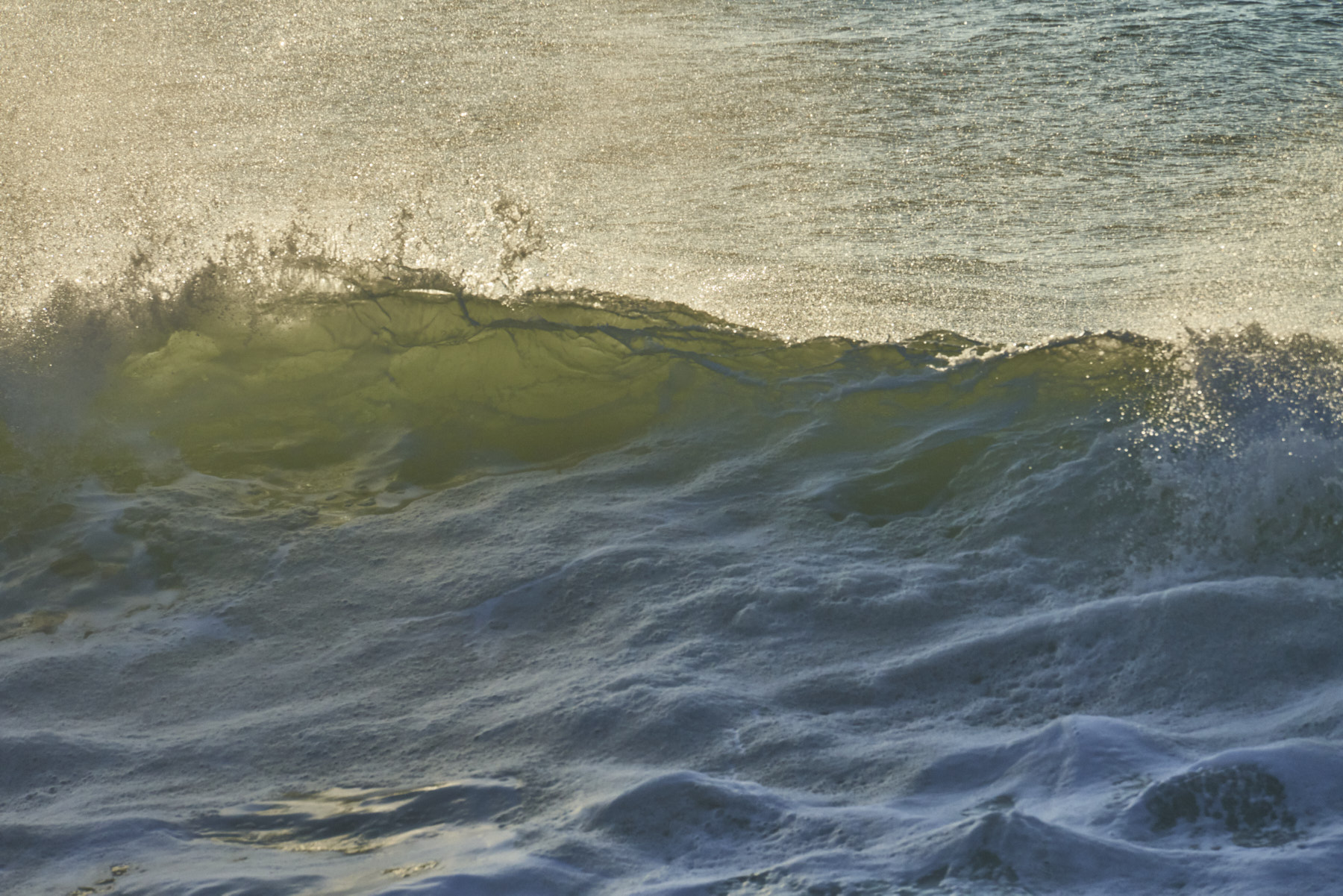 Bretagne 24 01 11 356