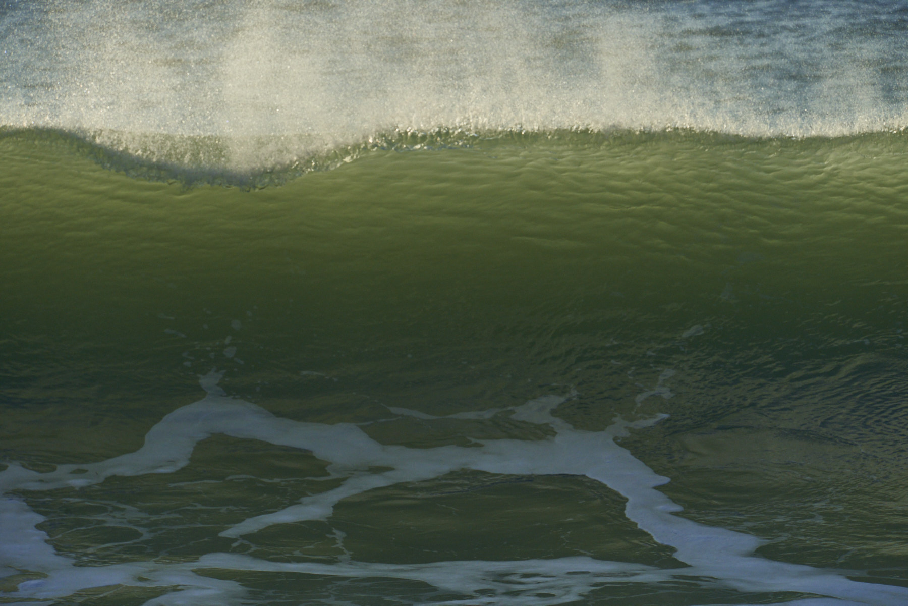 Bretagne 24 01 11 361